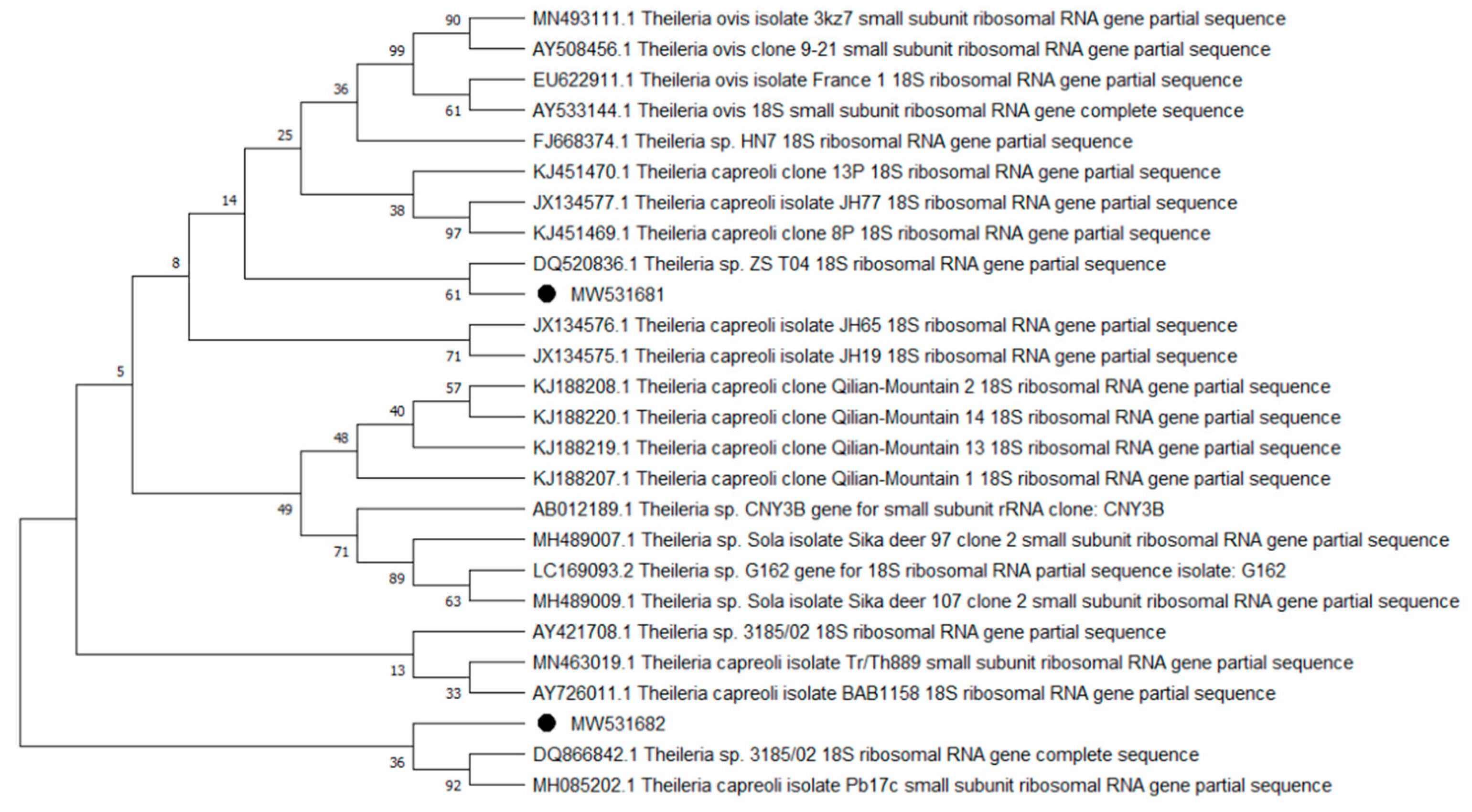 Pathogens 10 00324 g010 Pathogens 10 00324 g010