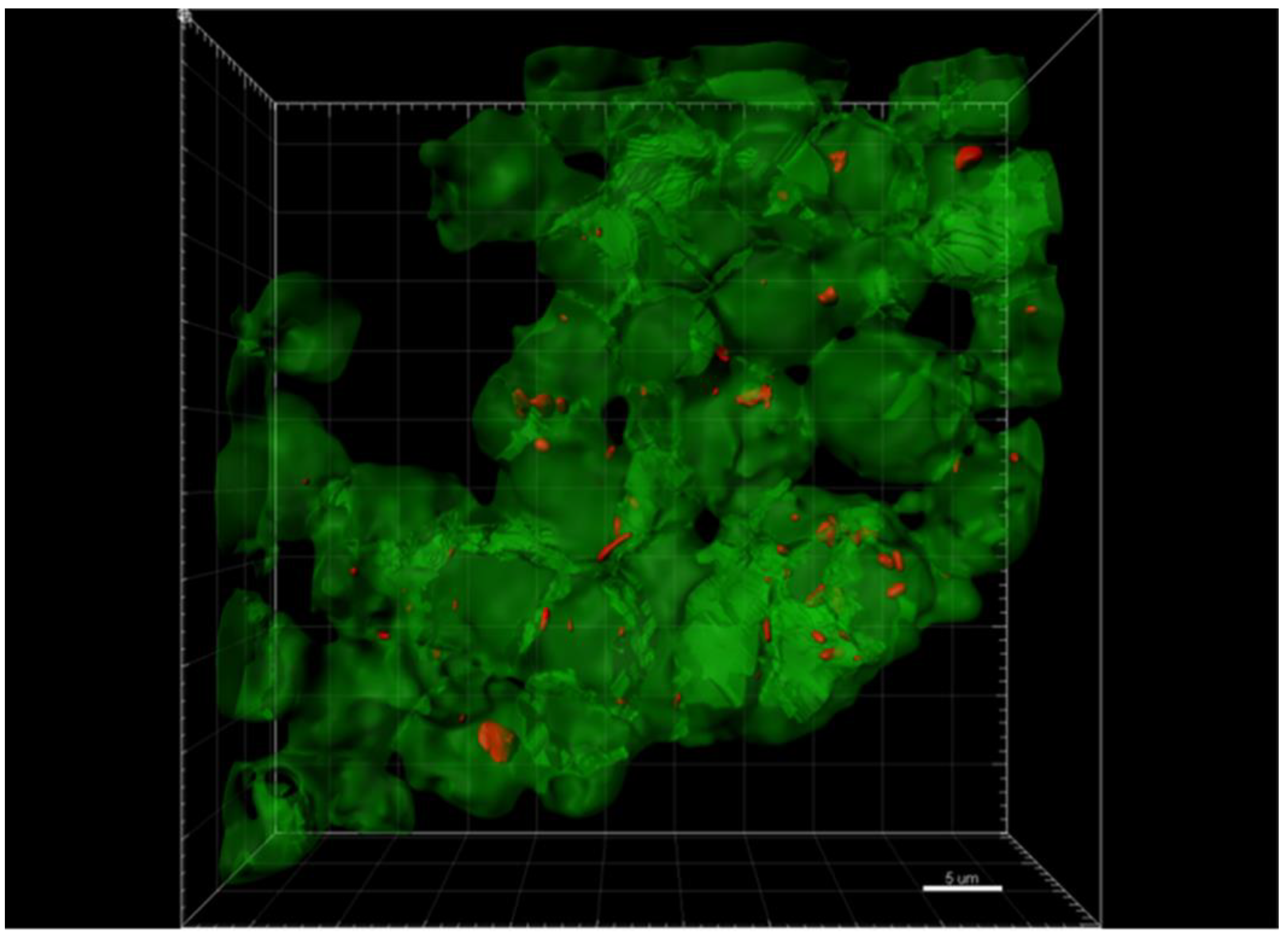 Pathogens 10 00326 g003