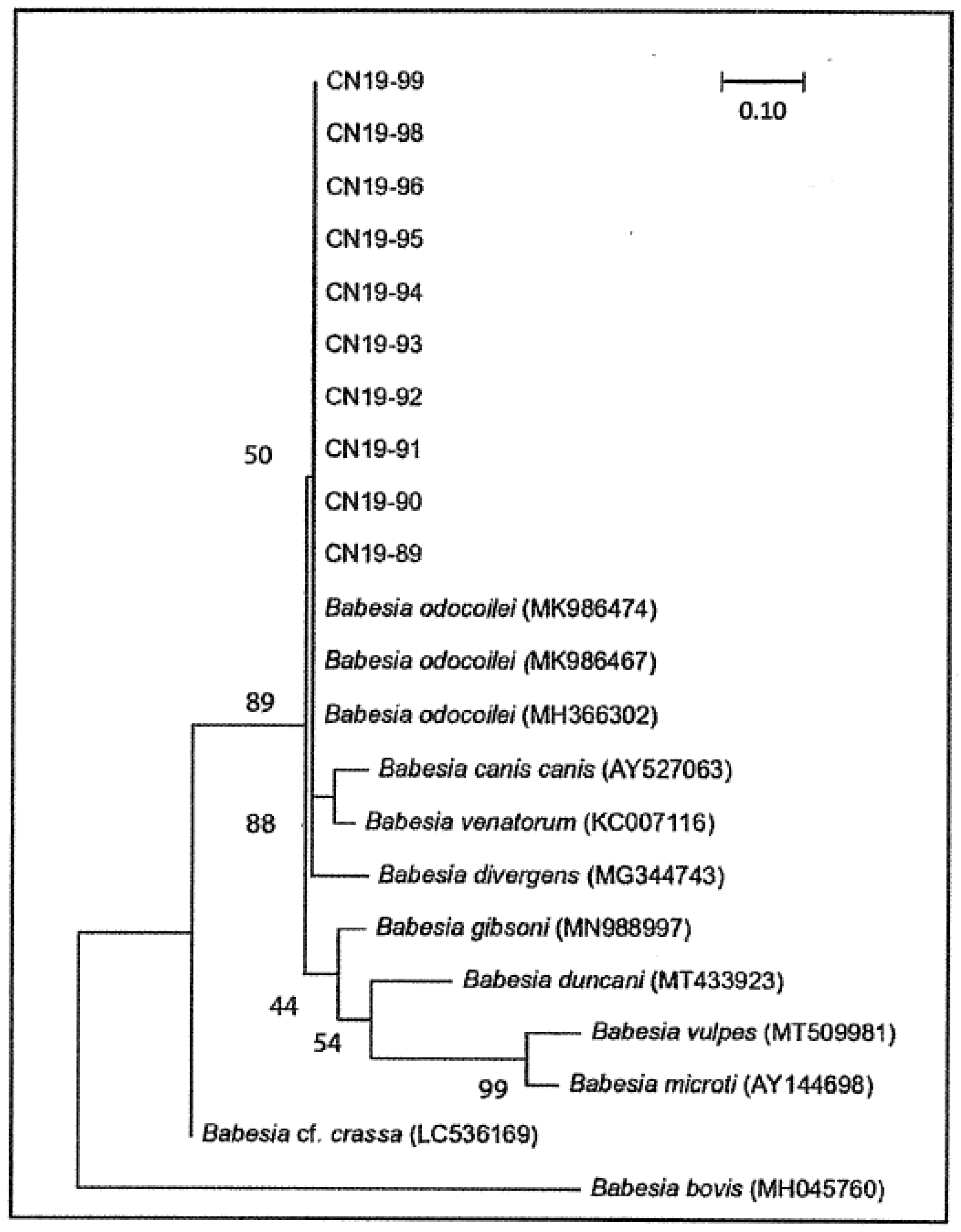 Pathogens 10 00327 g002 Pathogens 10 00327 g002