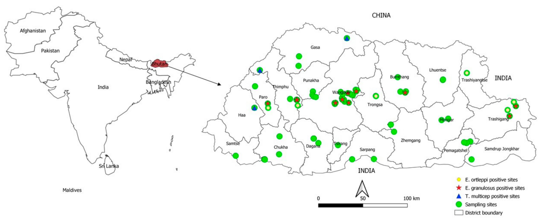 Pathogens 10 00330 g001 Pathogens 10 00330 g001