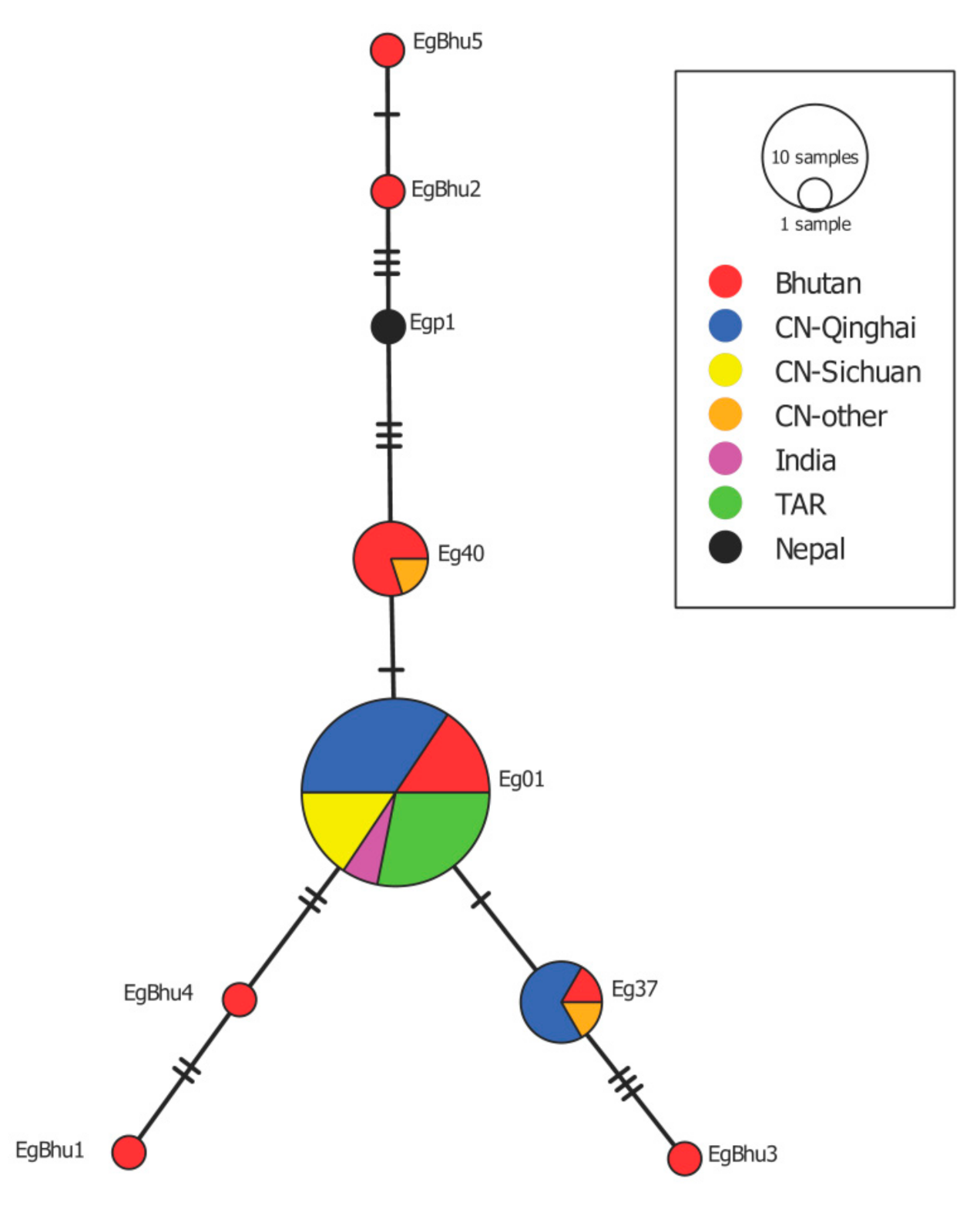 Pathogens 10 00330 g002 Pathogens 10 00330 g002