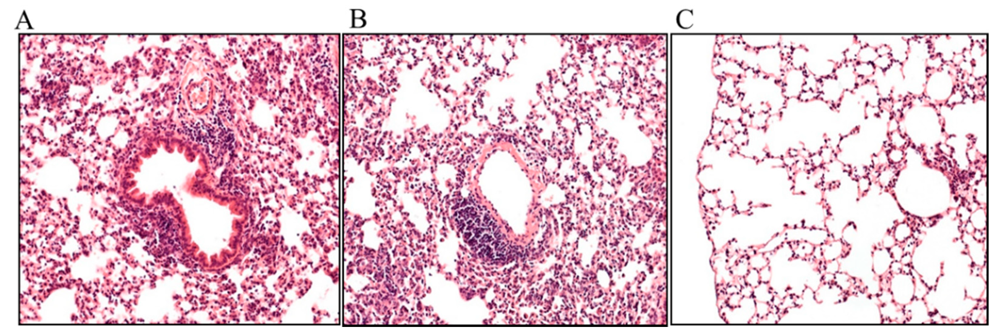 Pathogens 10 00338 g003