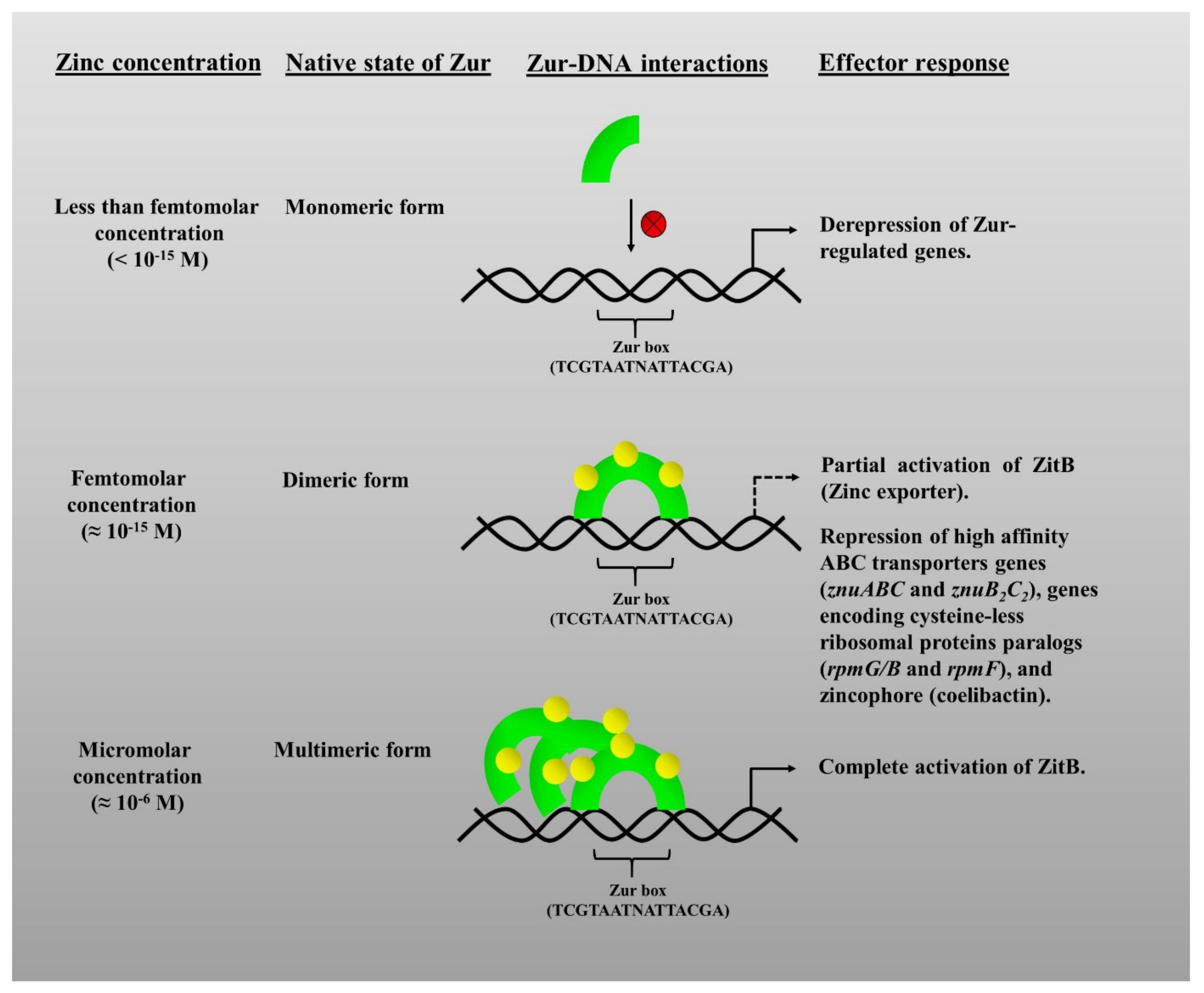 Pathogens 10 00344 g002