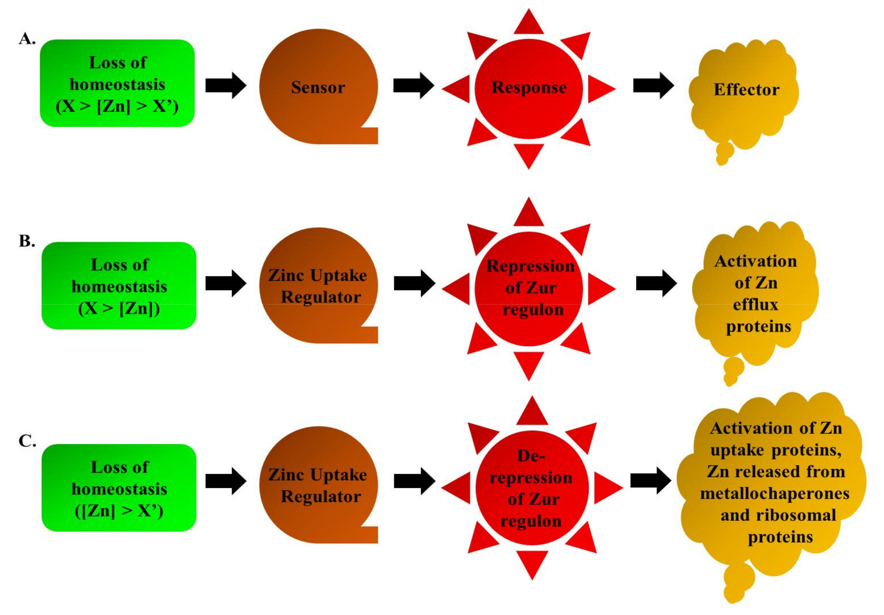 Pathogens 10 00344 g005
