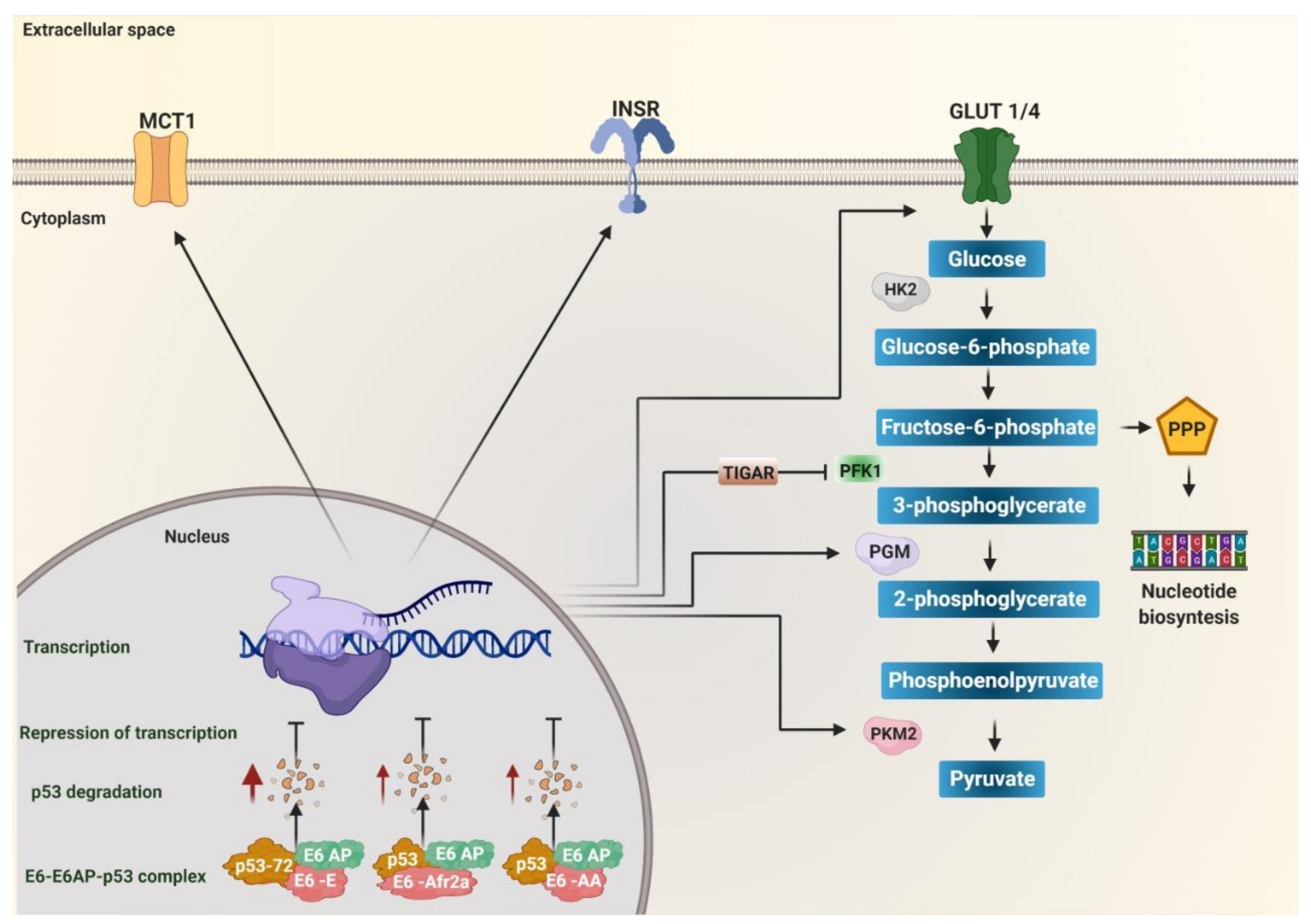 Pathogens 10 00347 g001