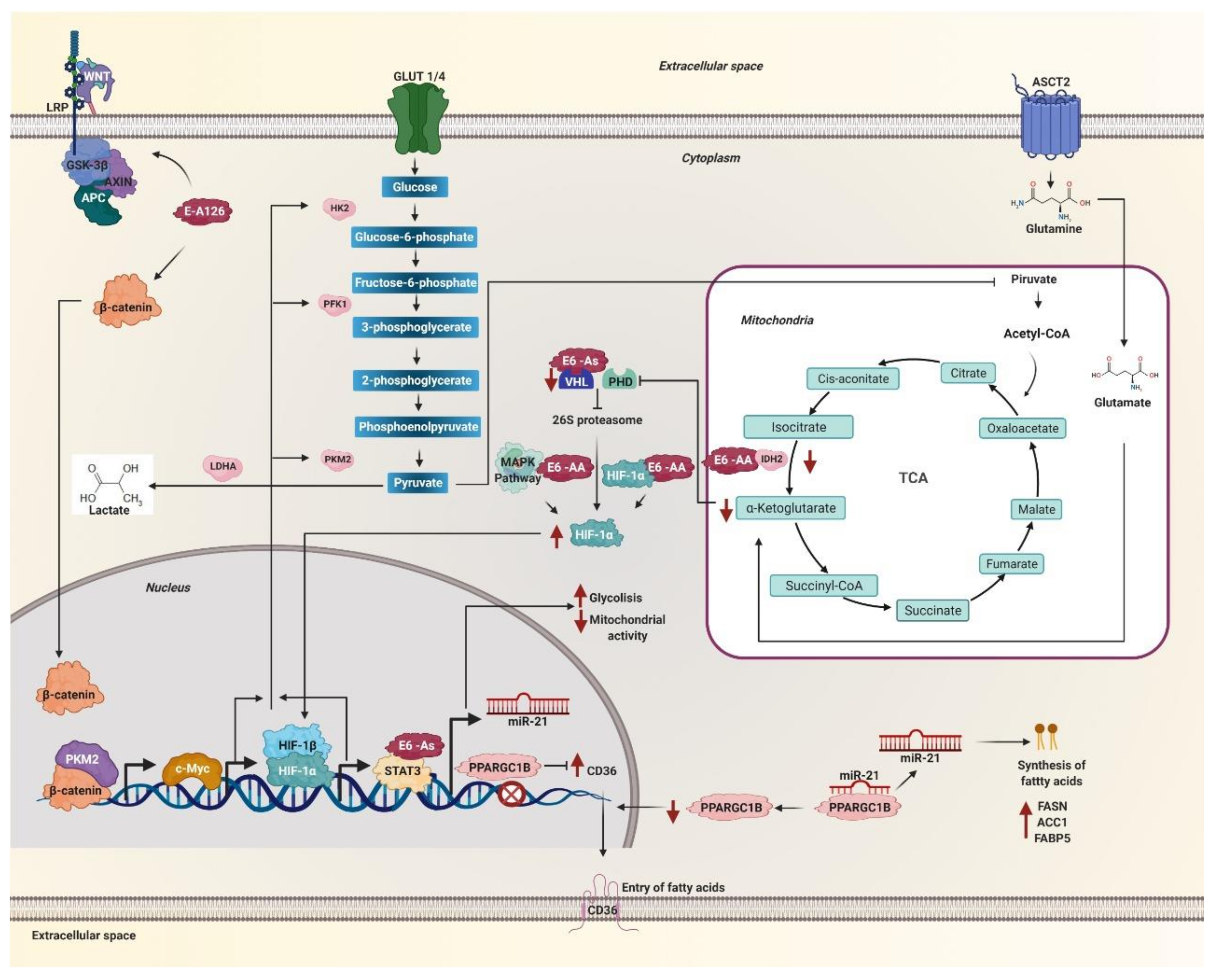 Pathogens 10 00347 g003