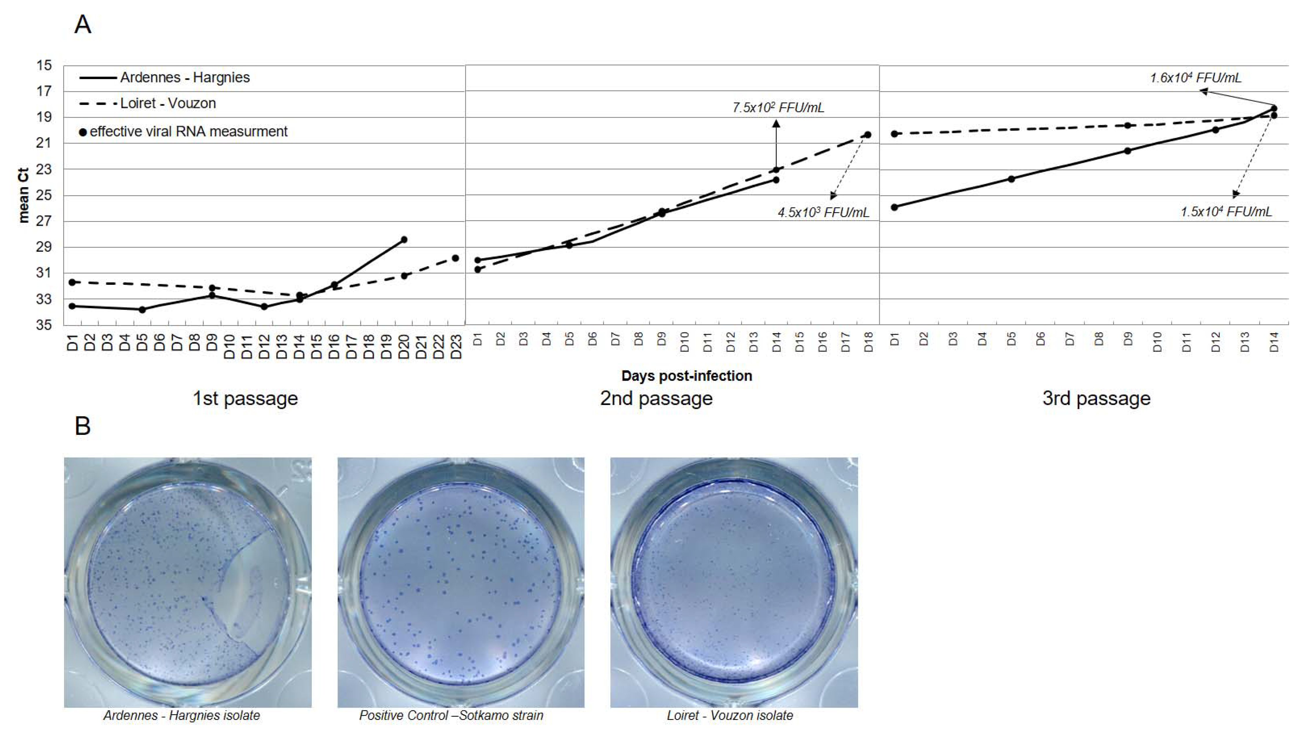 Pathogens 10 00349 g001