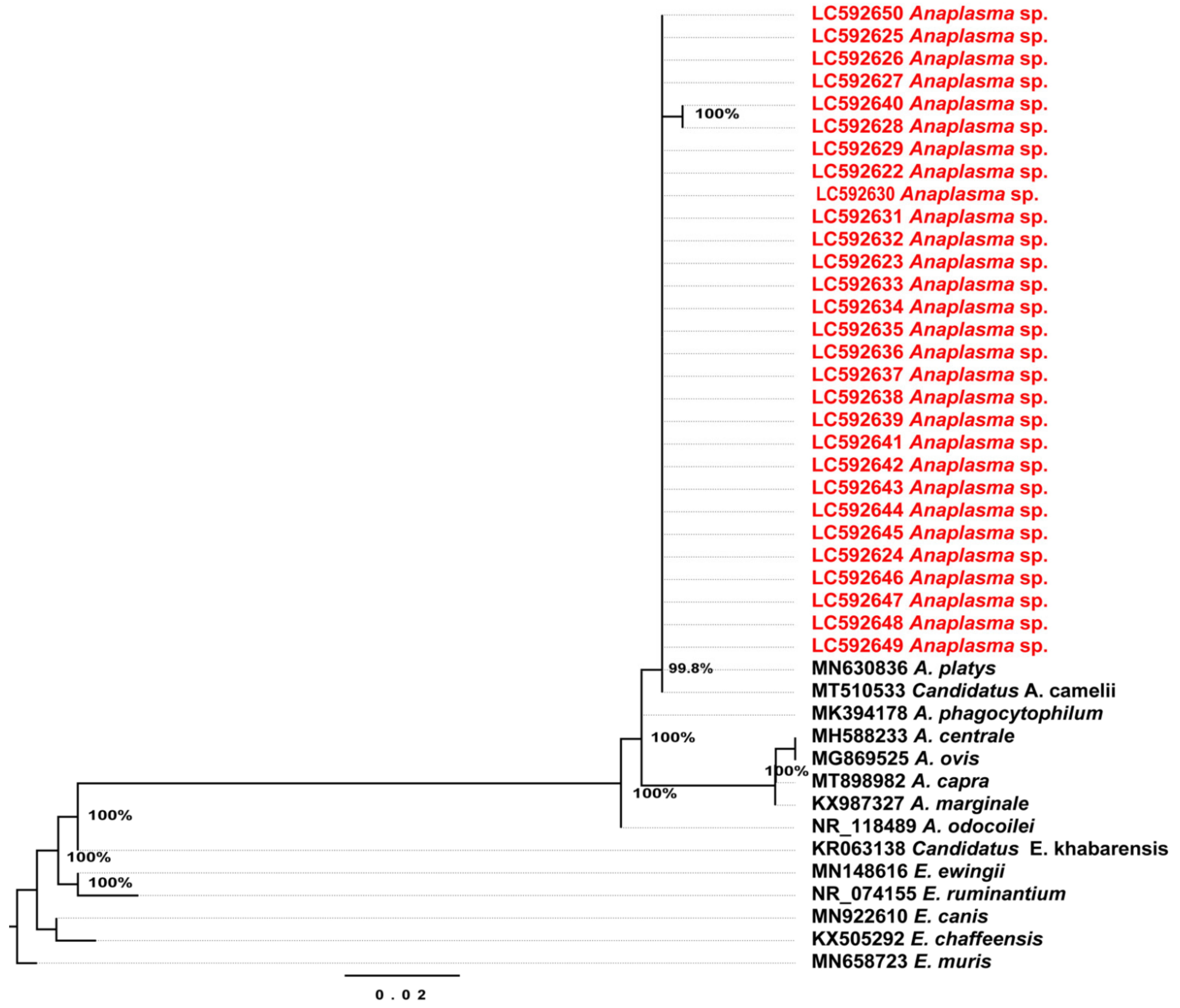 Pathogens 10 00351 g003 Pathogens 10 00351 g003
