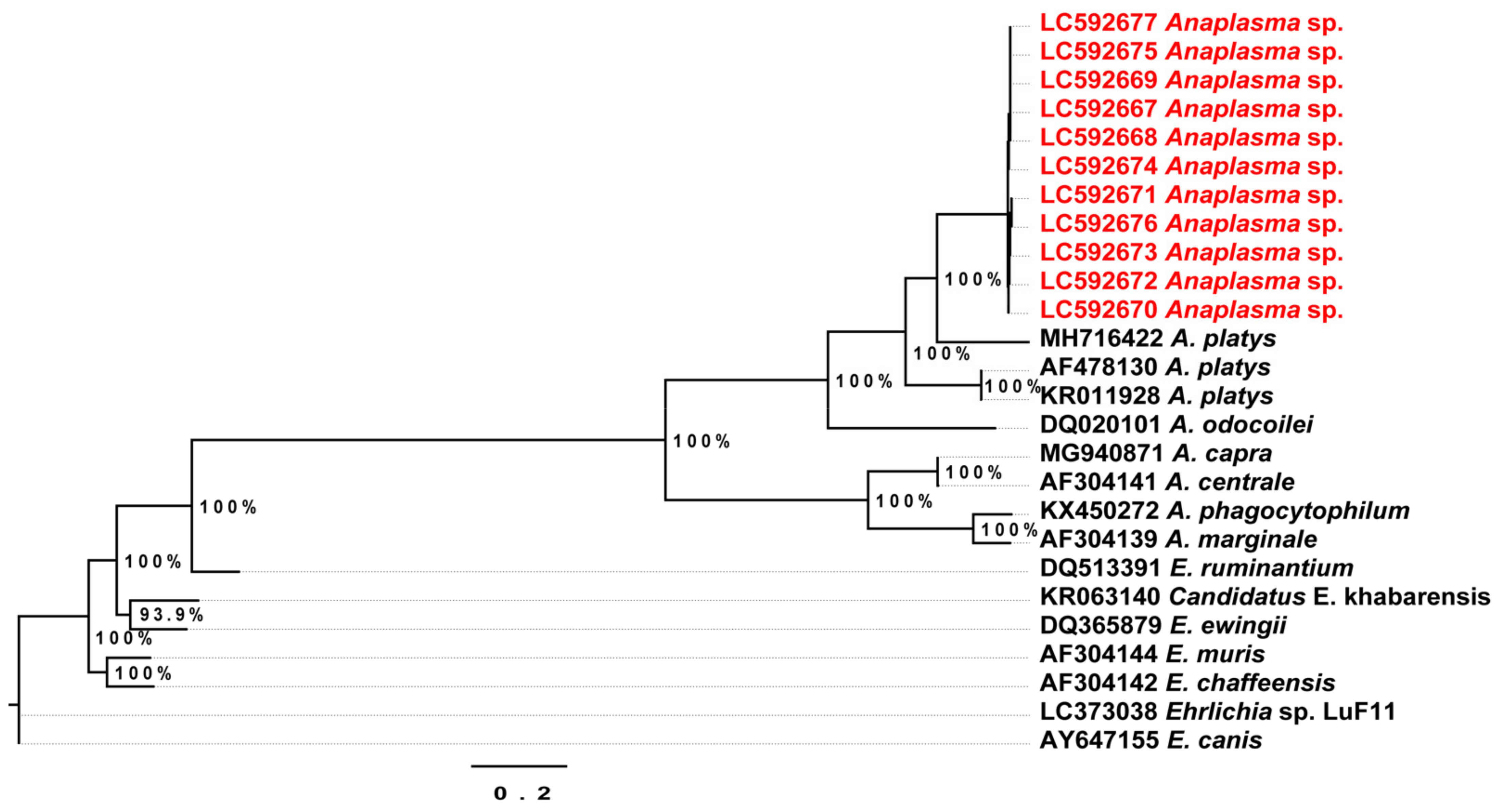 Pathogens 10 00351 g004 Pathogens 10 00351 g004