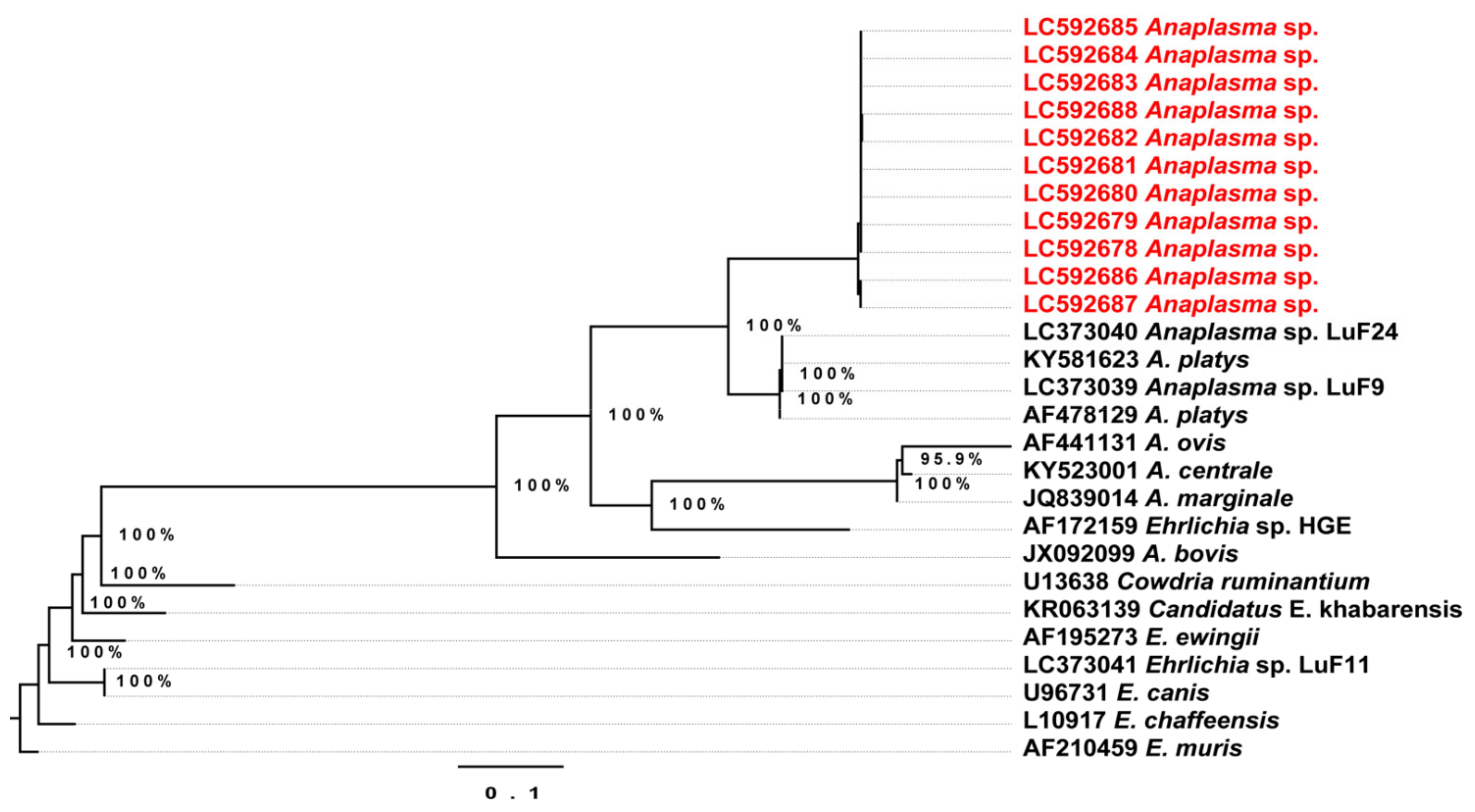 Pathogens 10 00351 g005 Pathogens 10 00351 g005