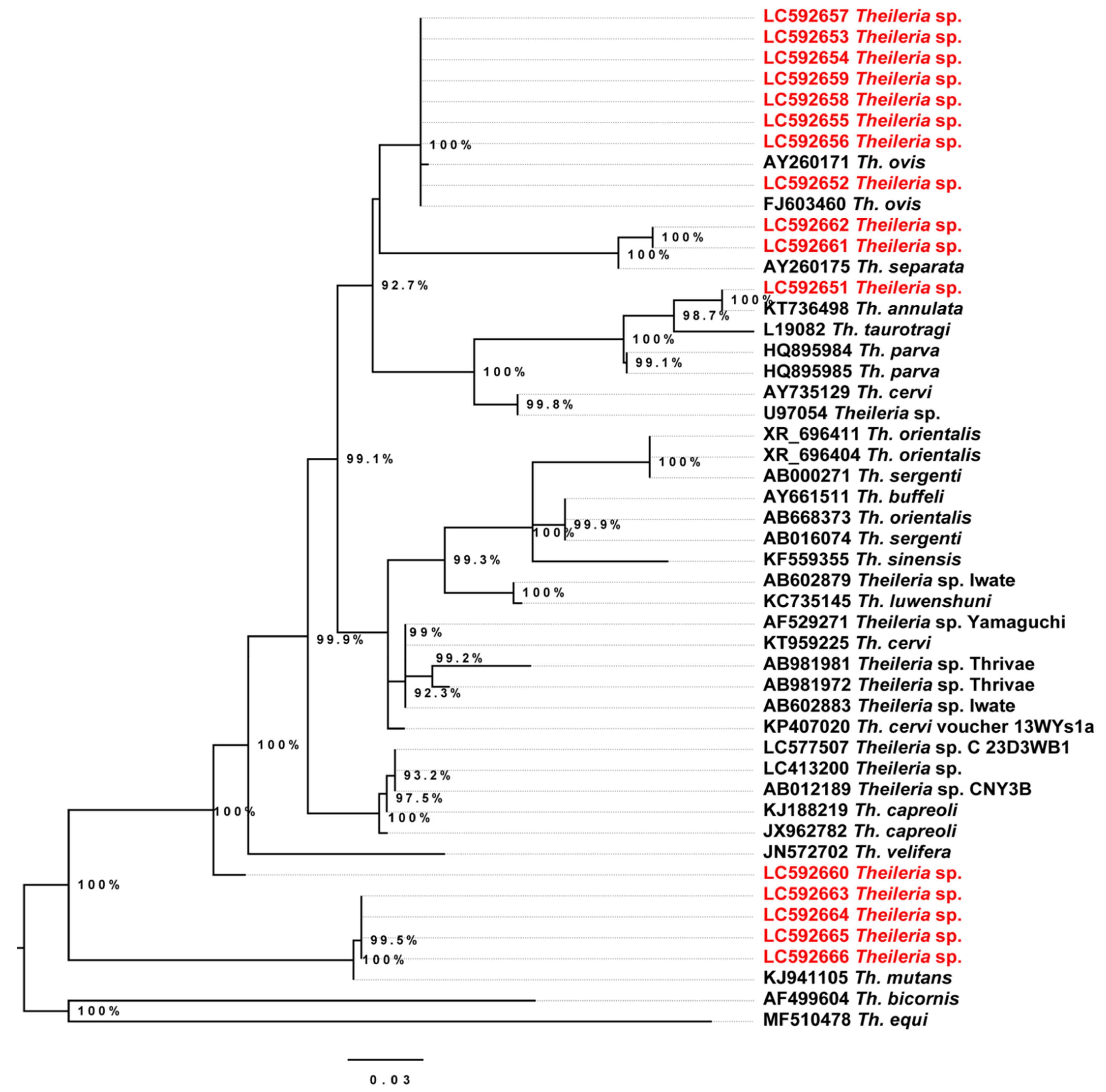 Pathogens 10 00351 g006 Pathogens 10 00351 g006
