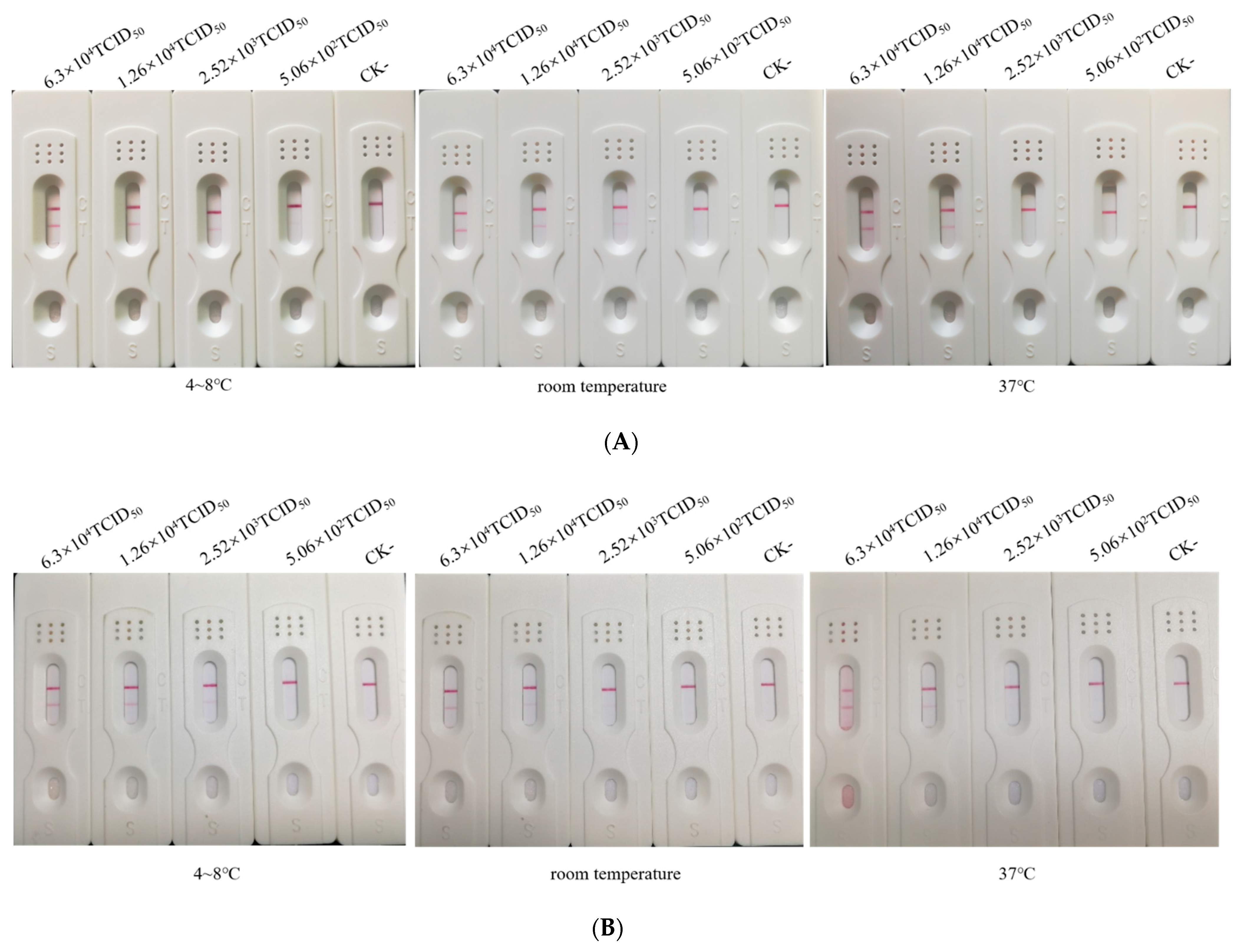Pathogens 10 00365 g005 Pathogens 10 00365 g005