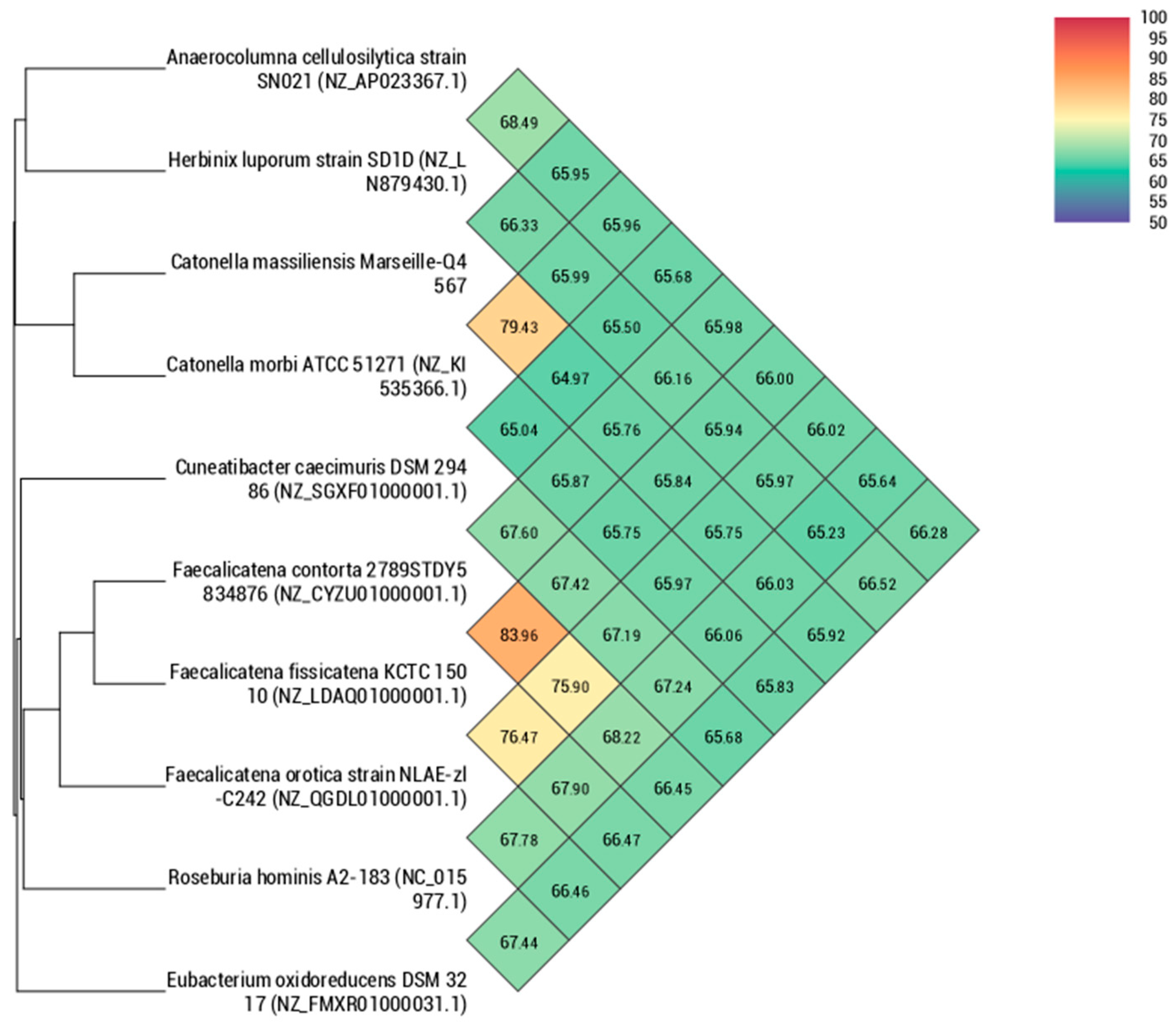 Pathogens 10 00367 g005 Pathogens 10 00367 g005