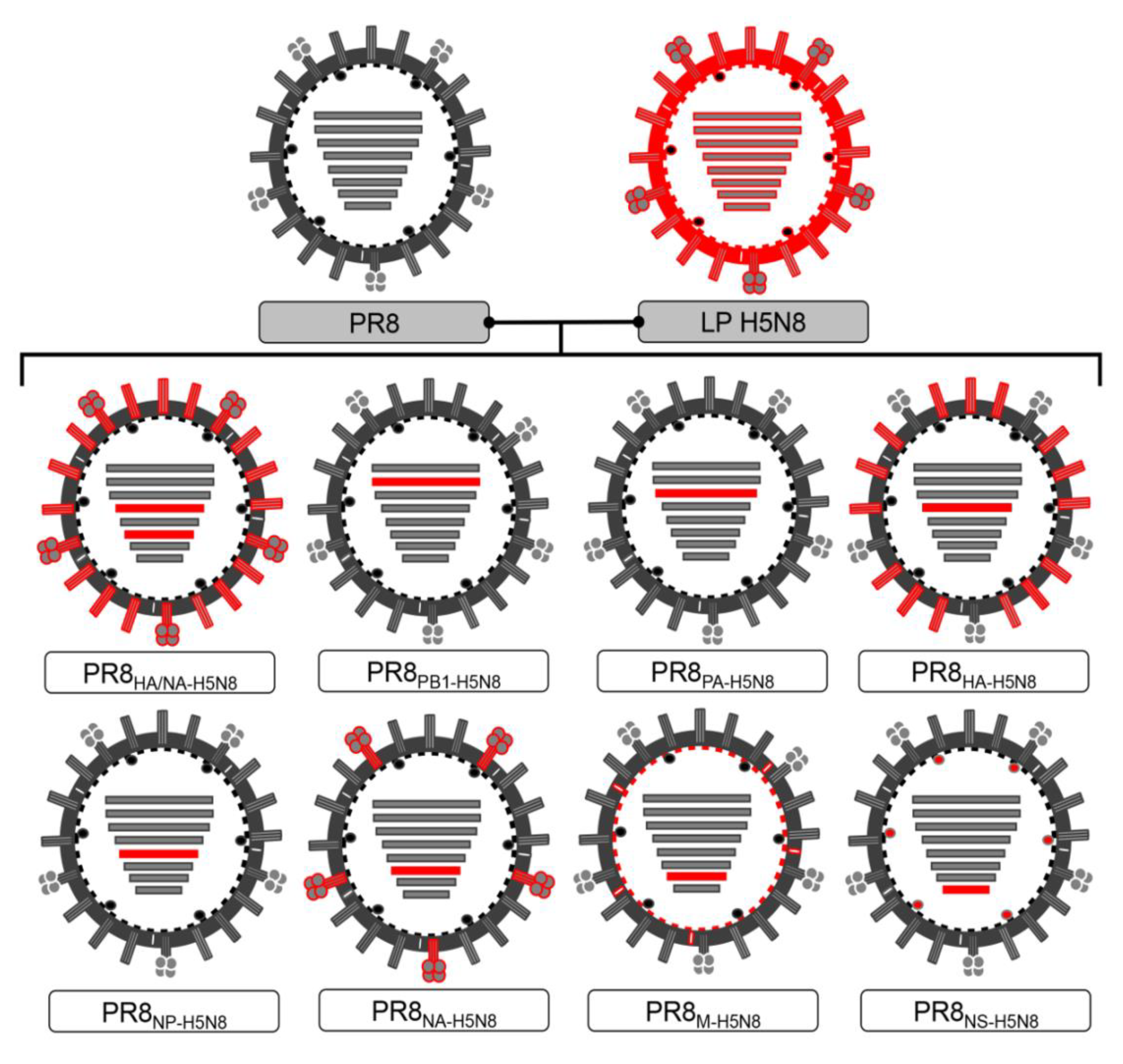 Pathogens 10 00368 g001 Pathogens 10 00368 g001