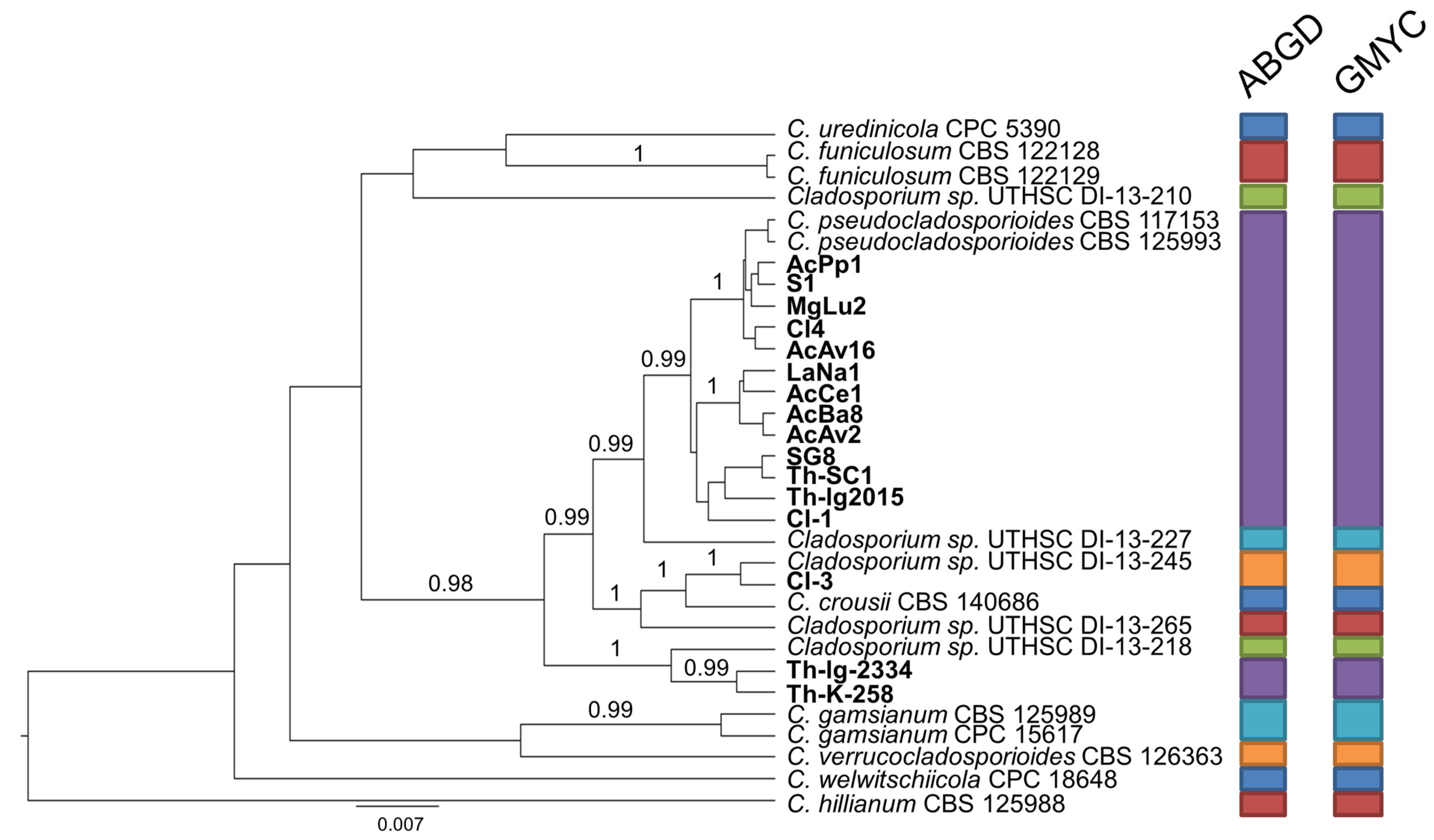 Pathogens 10 00369 g002