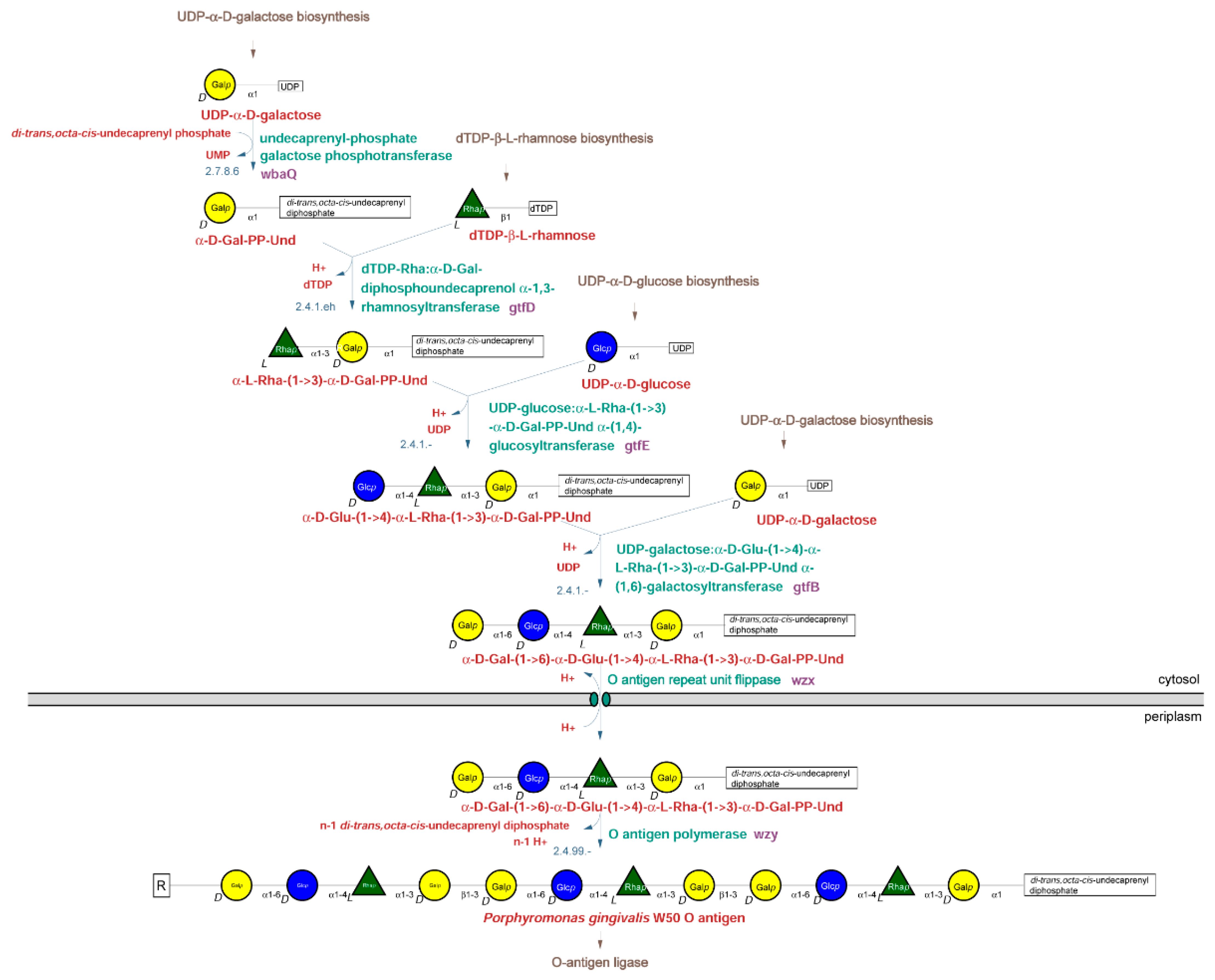 Pathogens 10 00374 g001
