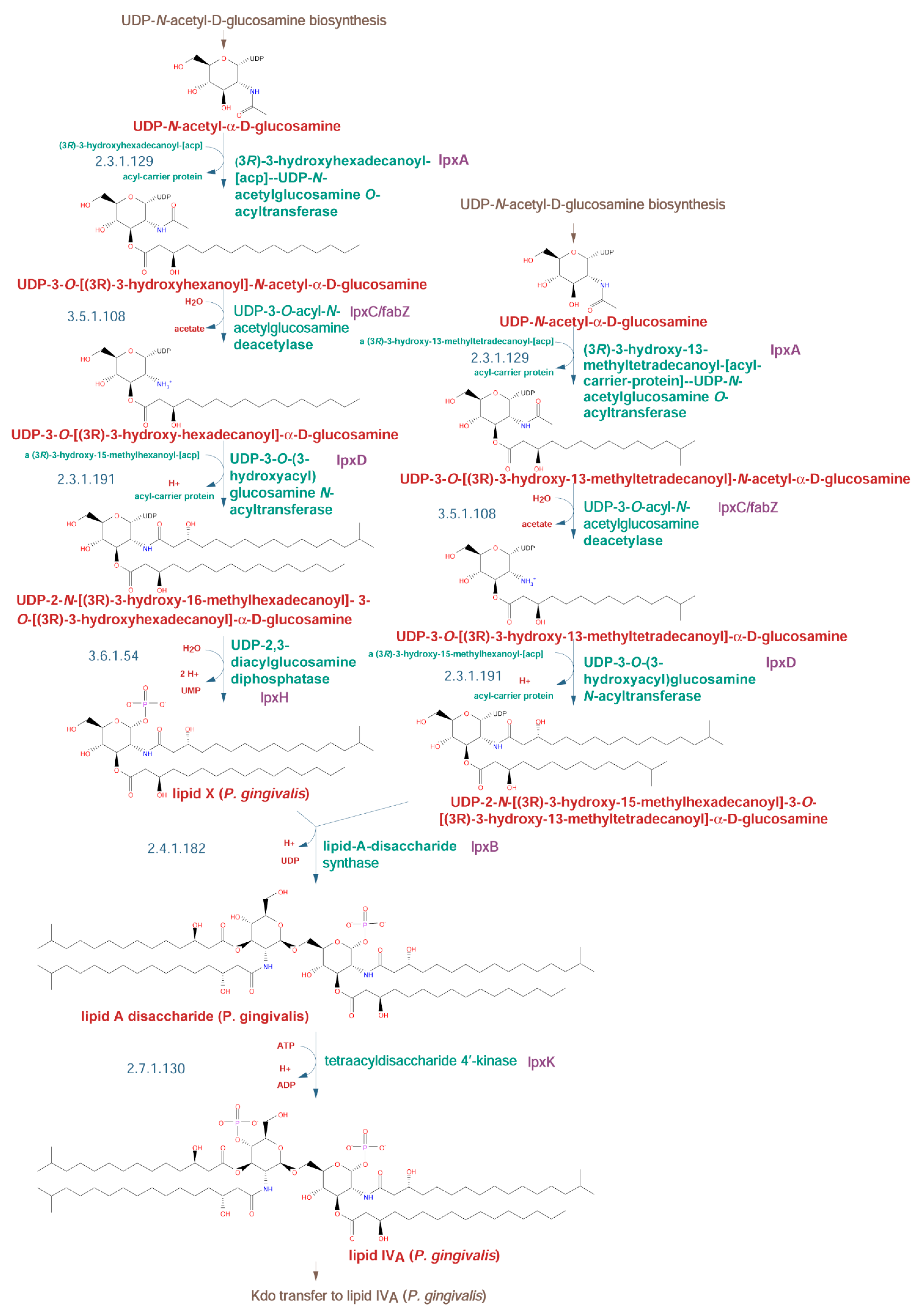 Pathogens 10 00374 g002