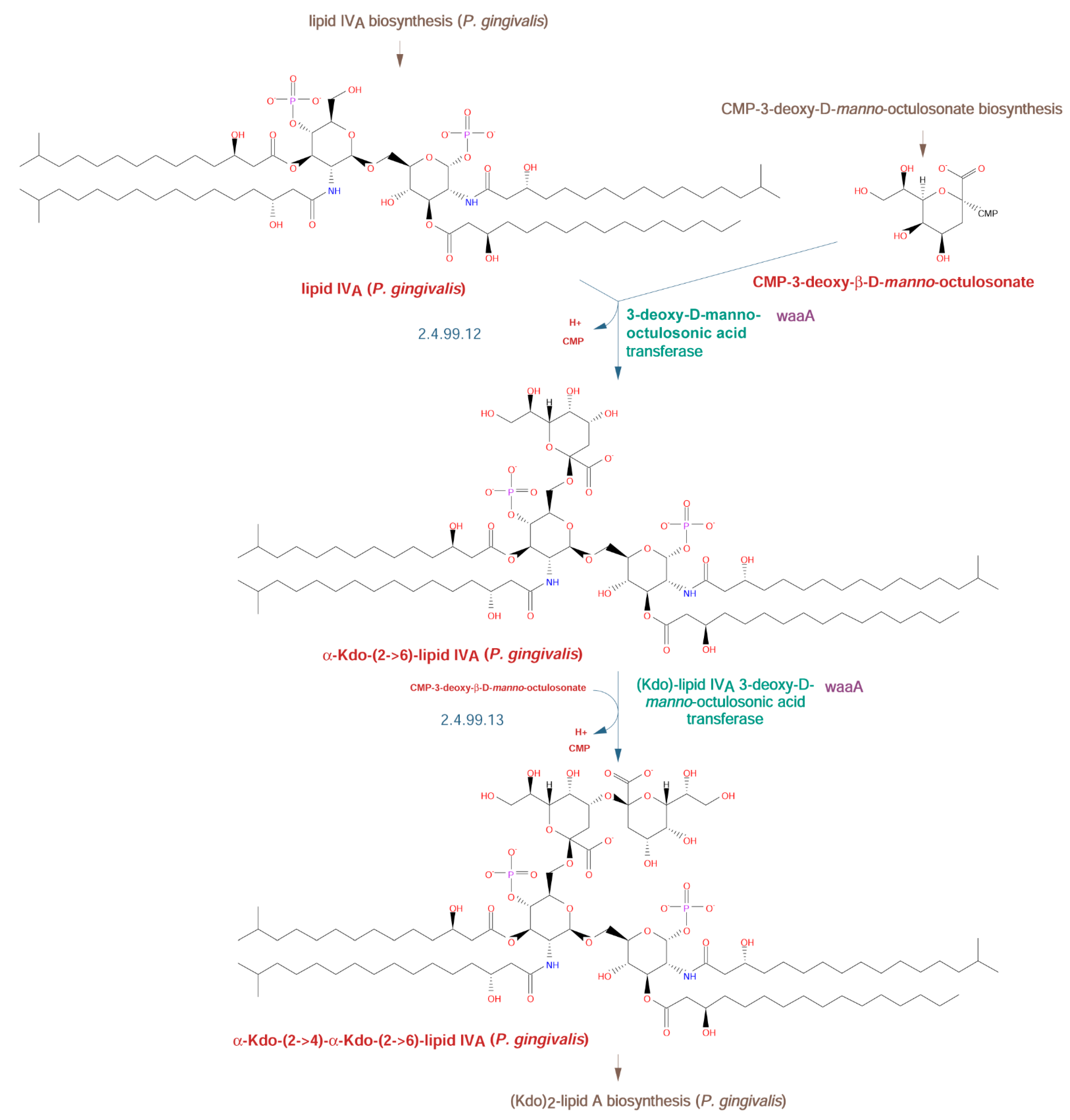 Pathogens 10 00374 g003
