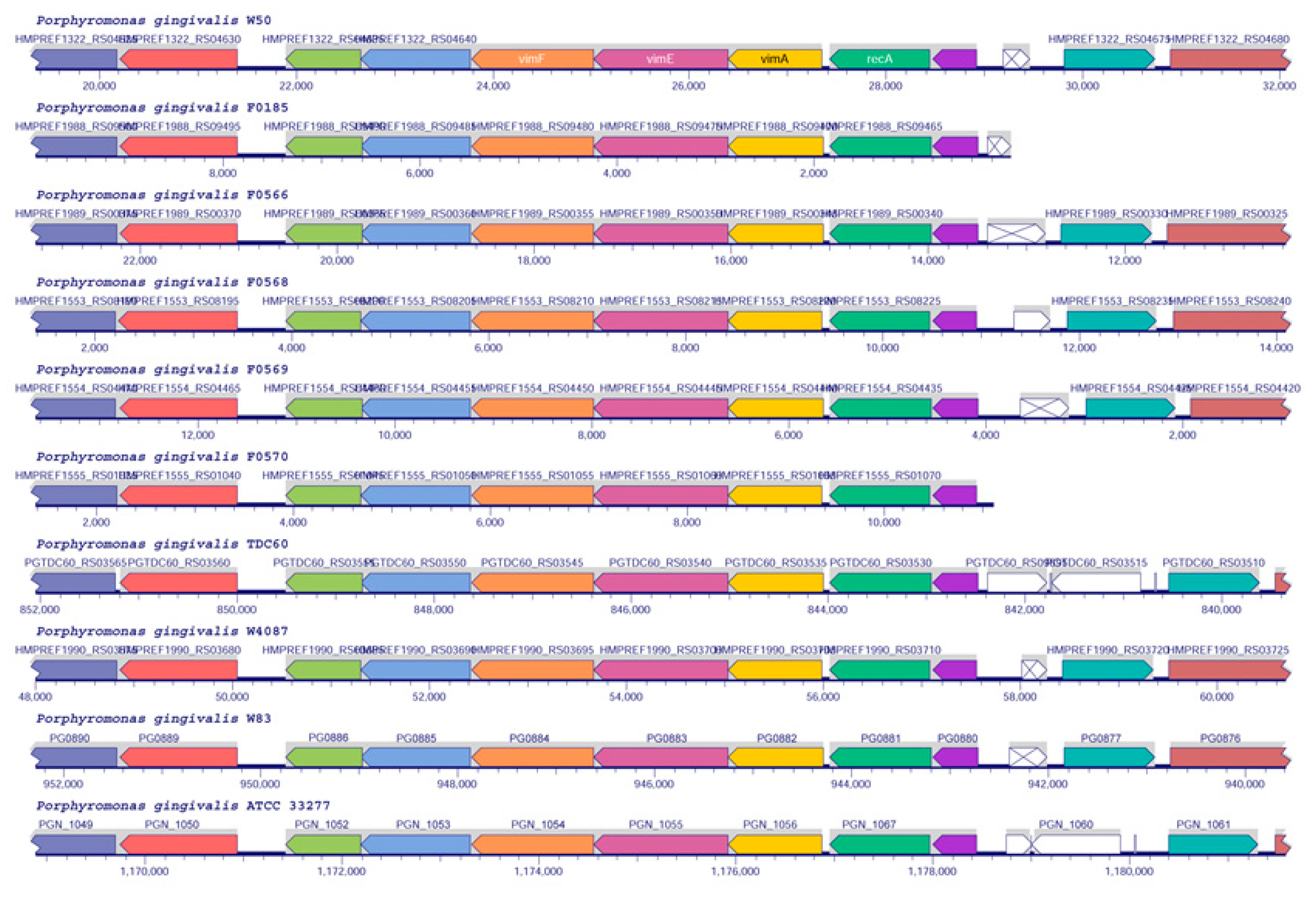 Pathogens 10 00374 g006