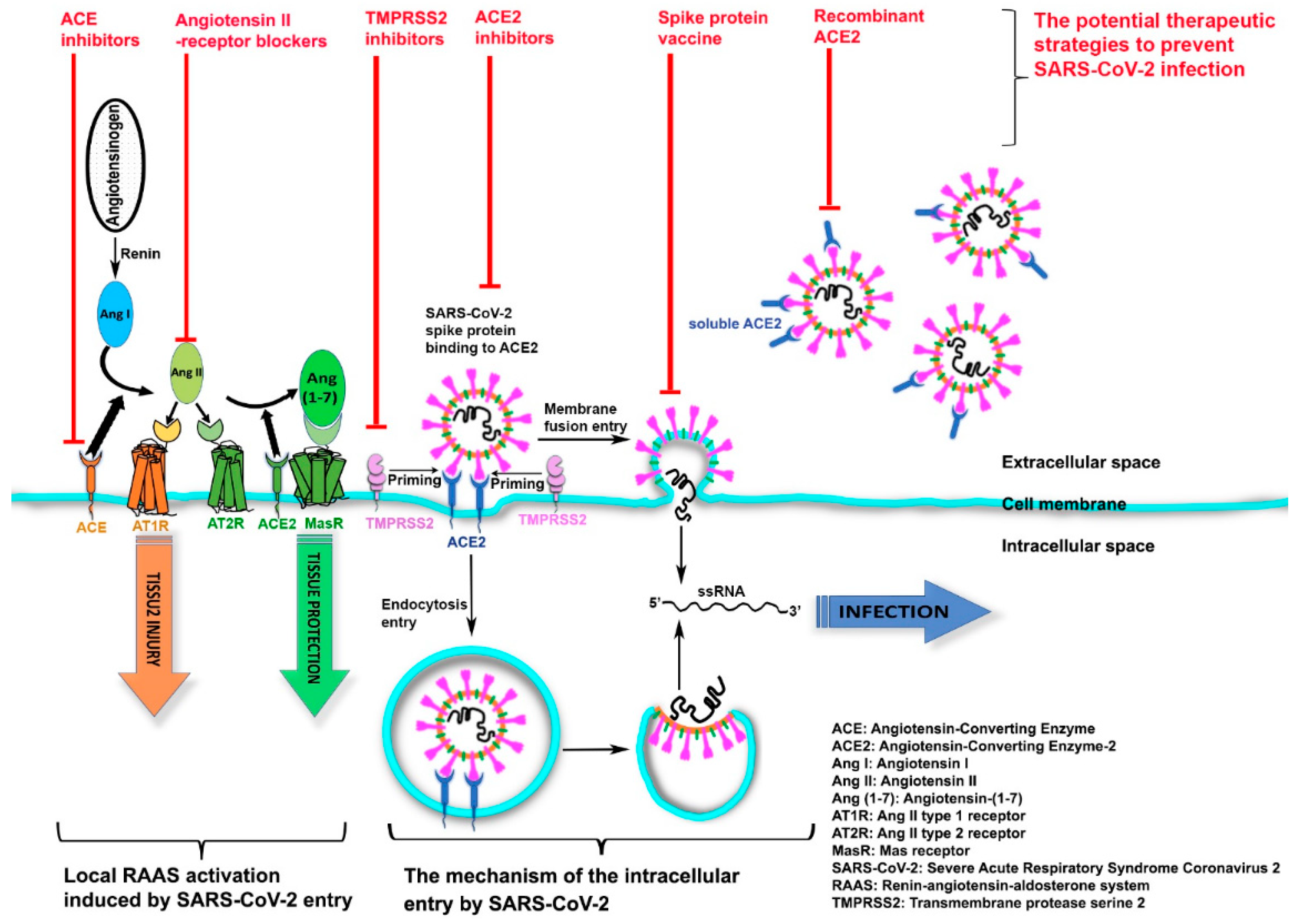 Pathogens 10 00379 g001 Pathogens 10 00379 g001