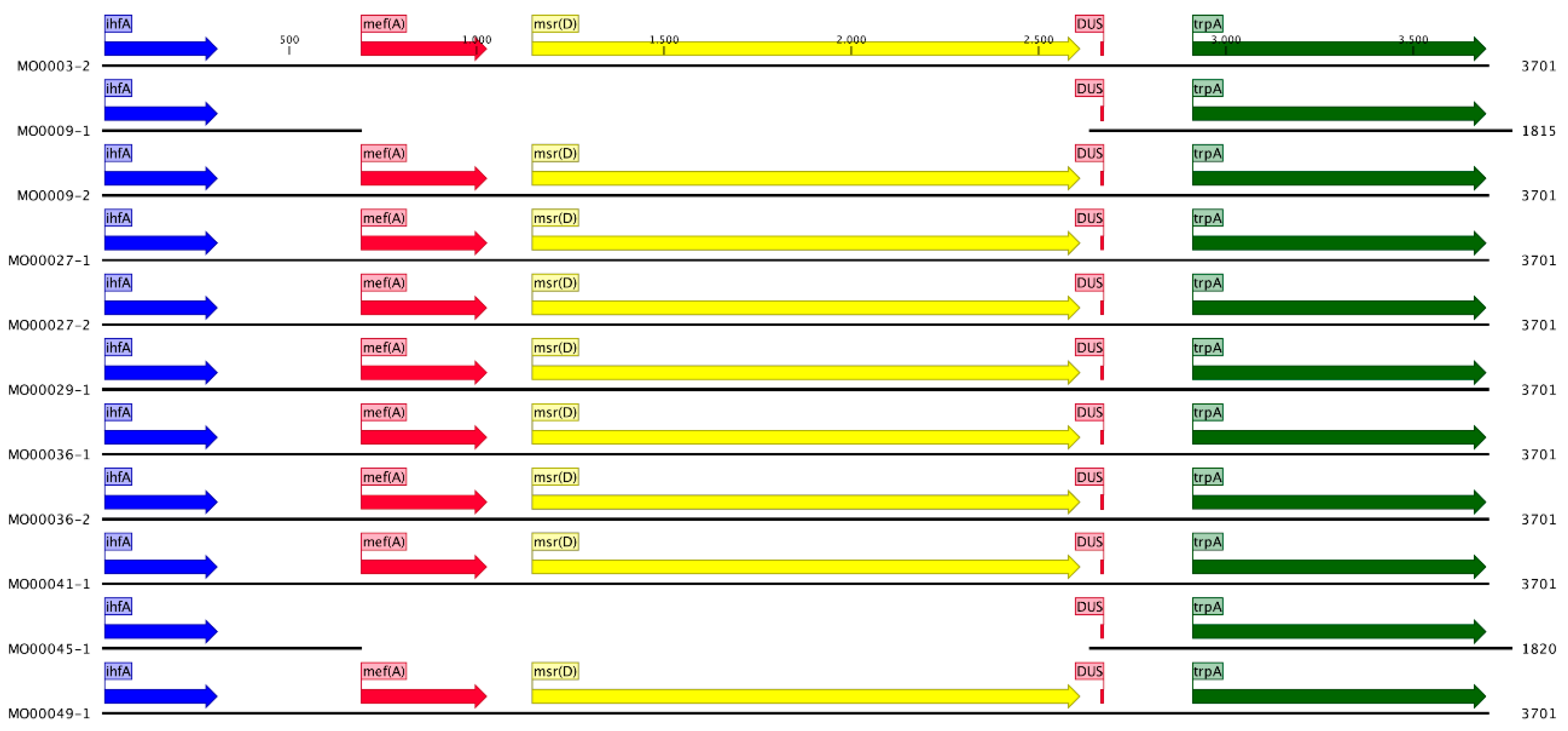 Pathogens 10 00384 g006 Pathogens 10 00384 g006