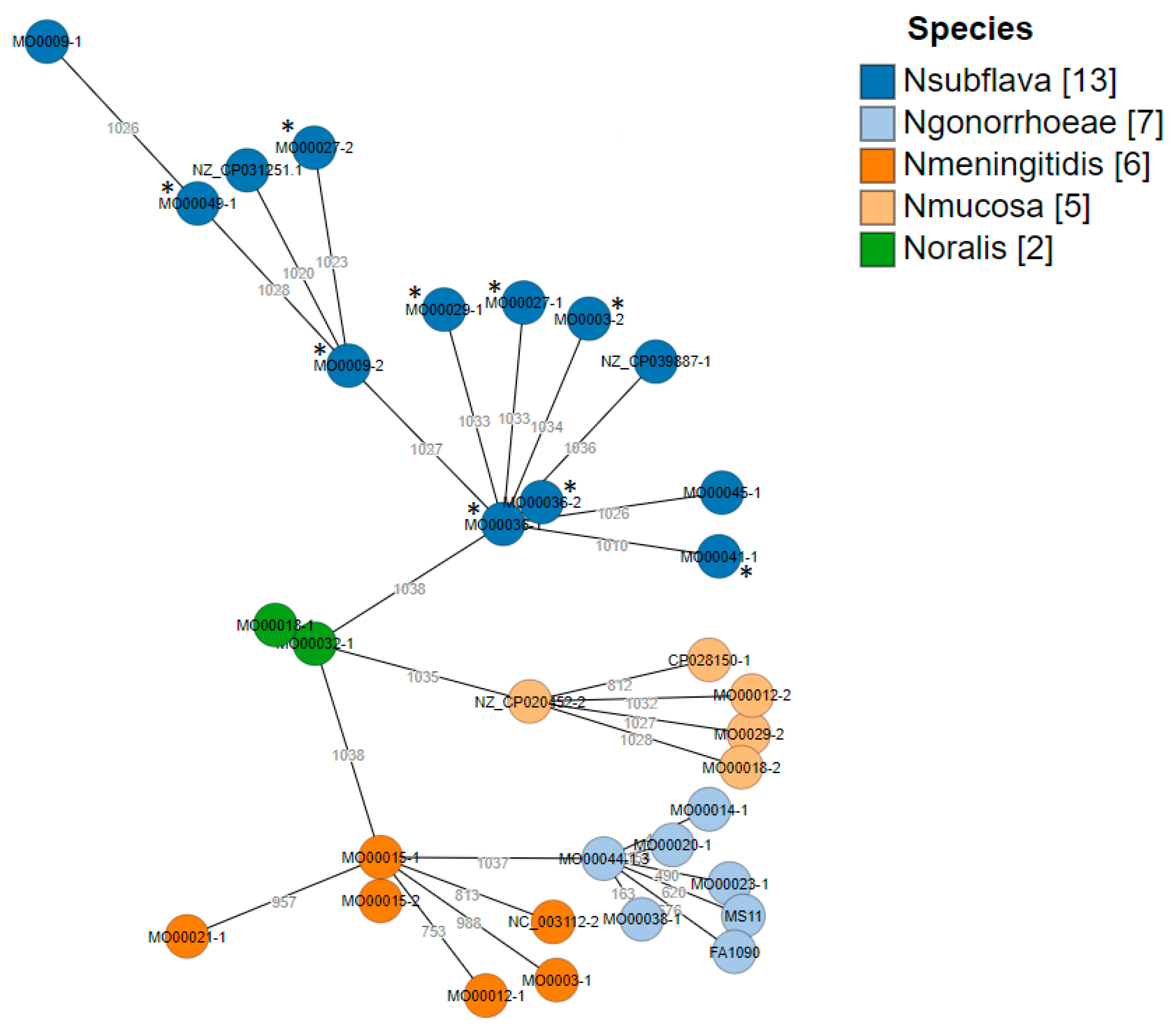 Pathogens 10 00384 g007 Pathogens 10 00384 g007