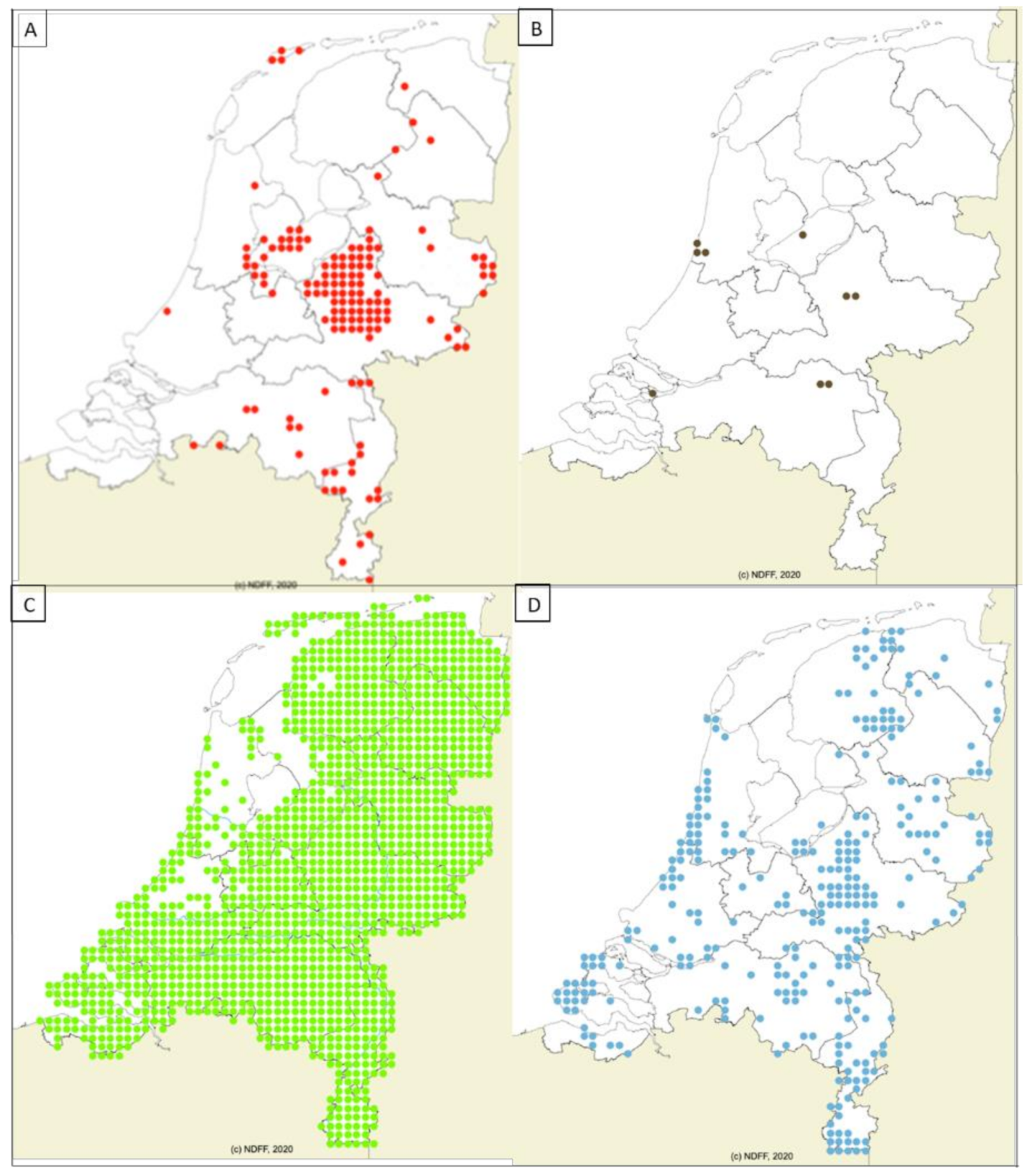 Pathogens 10 00386 g001