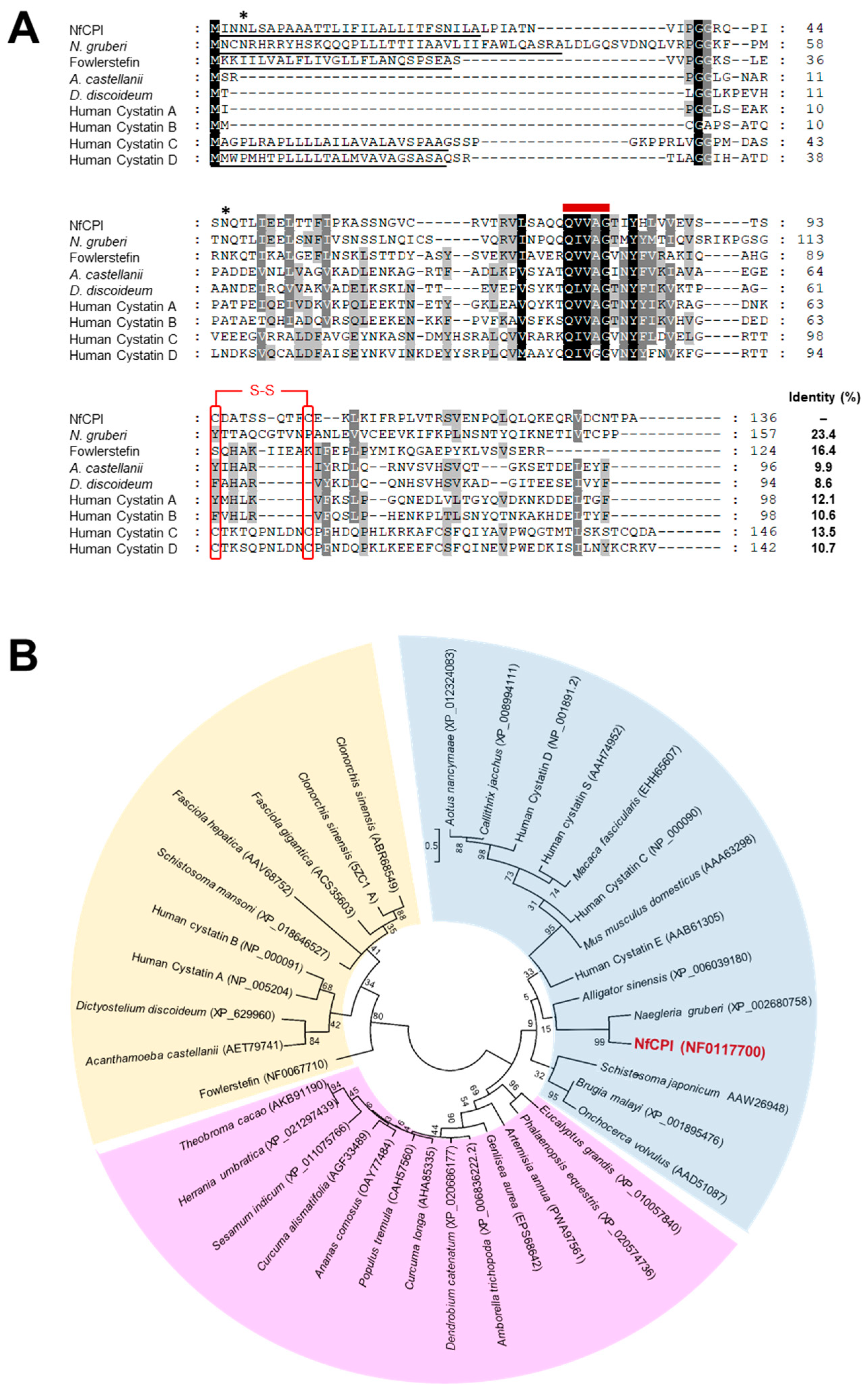 Pathogens 10 00388 g001