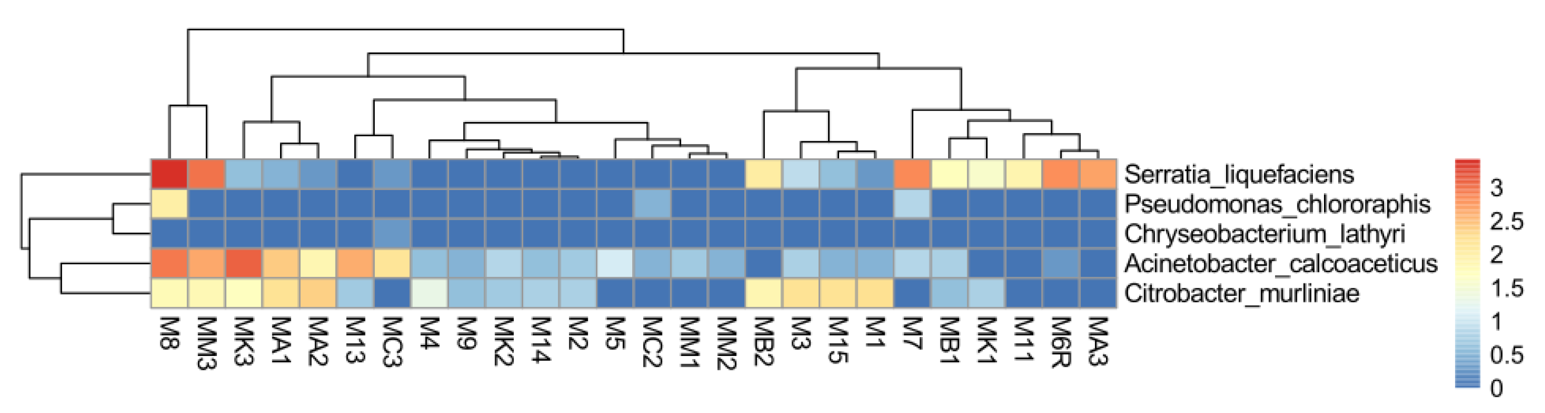 Pathogens 10 00396 g002 Pathogens 10 00396 g002