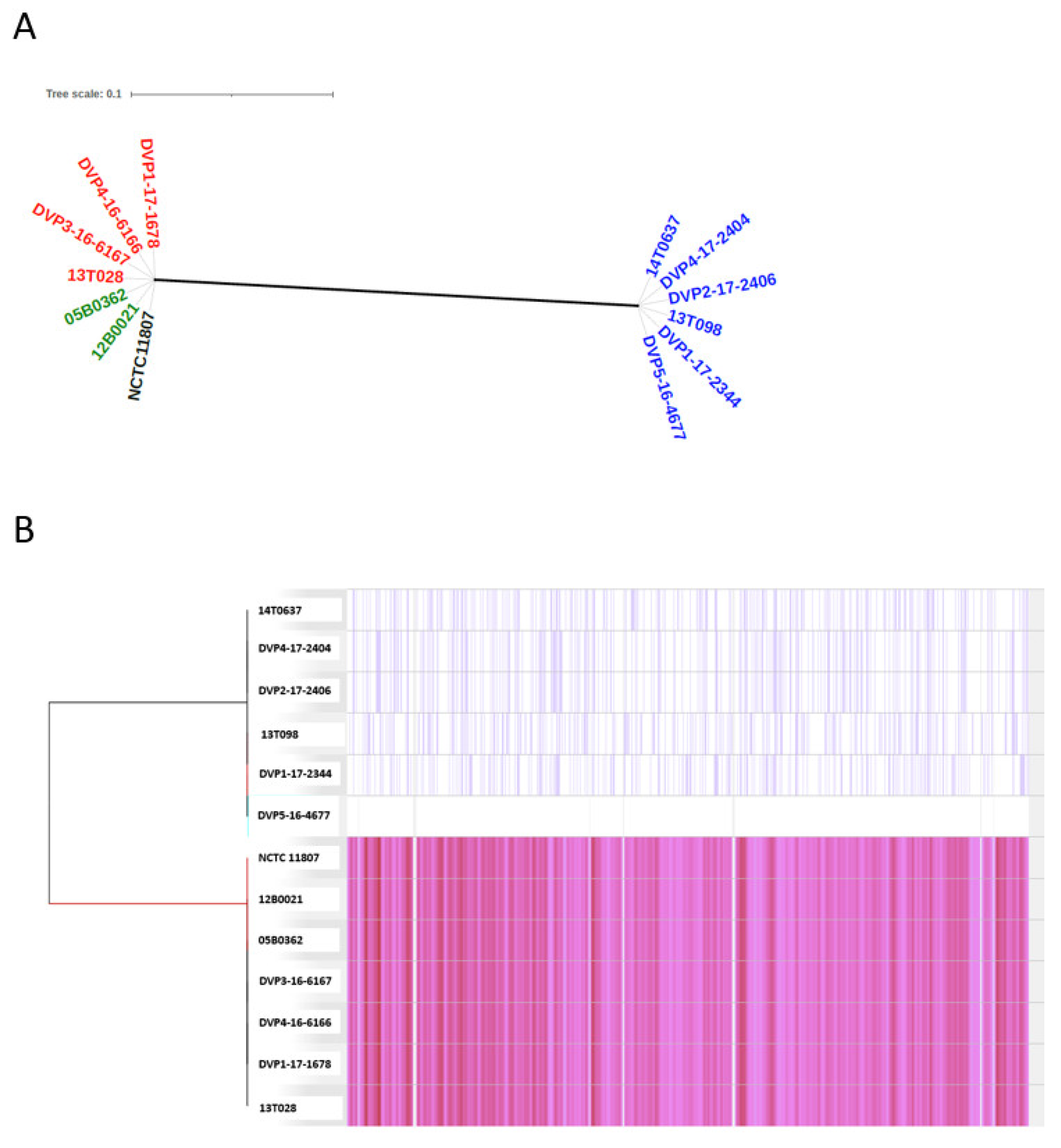 Pathogens 10 00397 g001