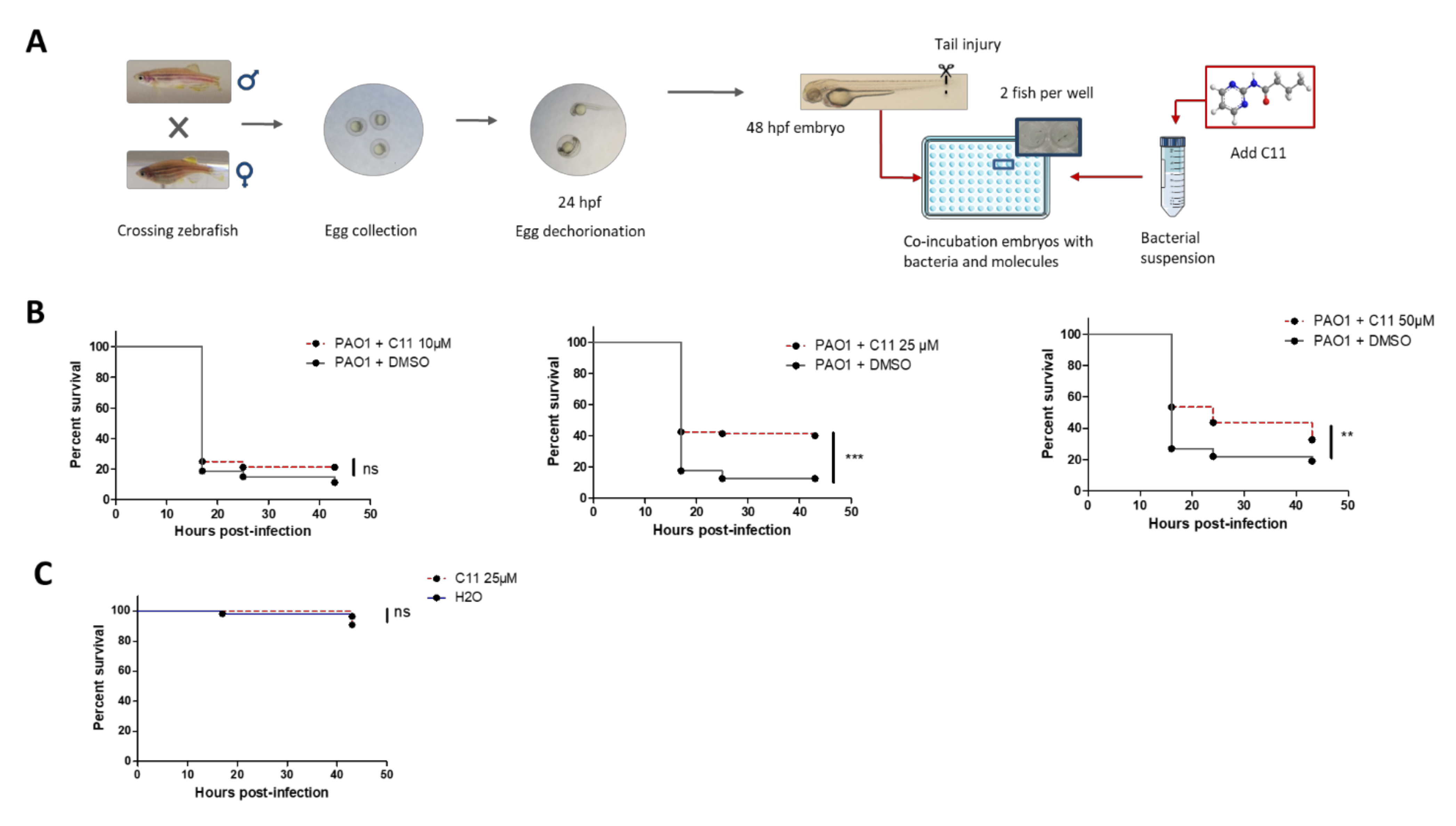 Pathogens 10 00401 g004 Pathogens 10 00401 g004