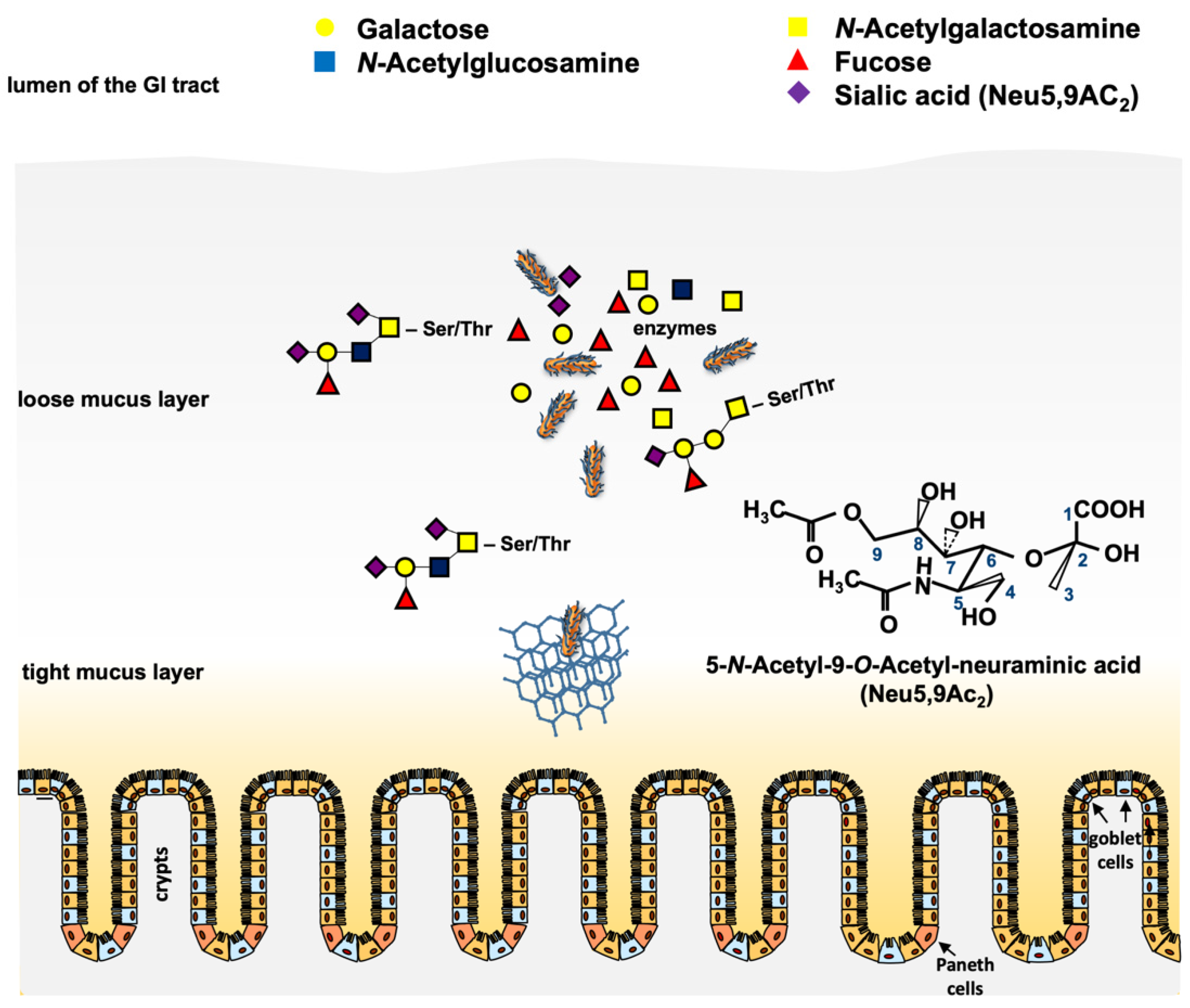 Pathogens 10 00404 g002