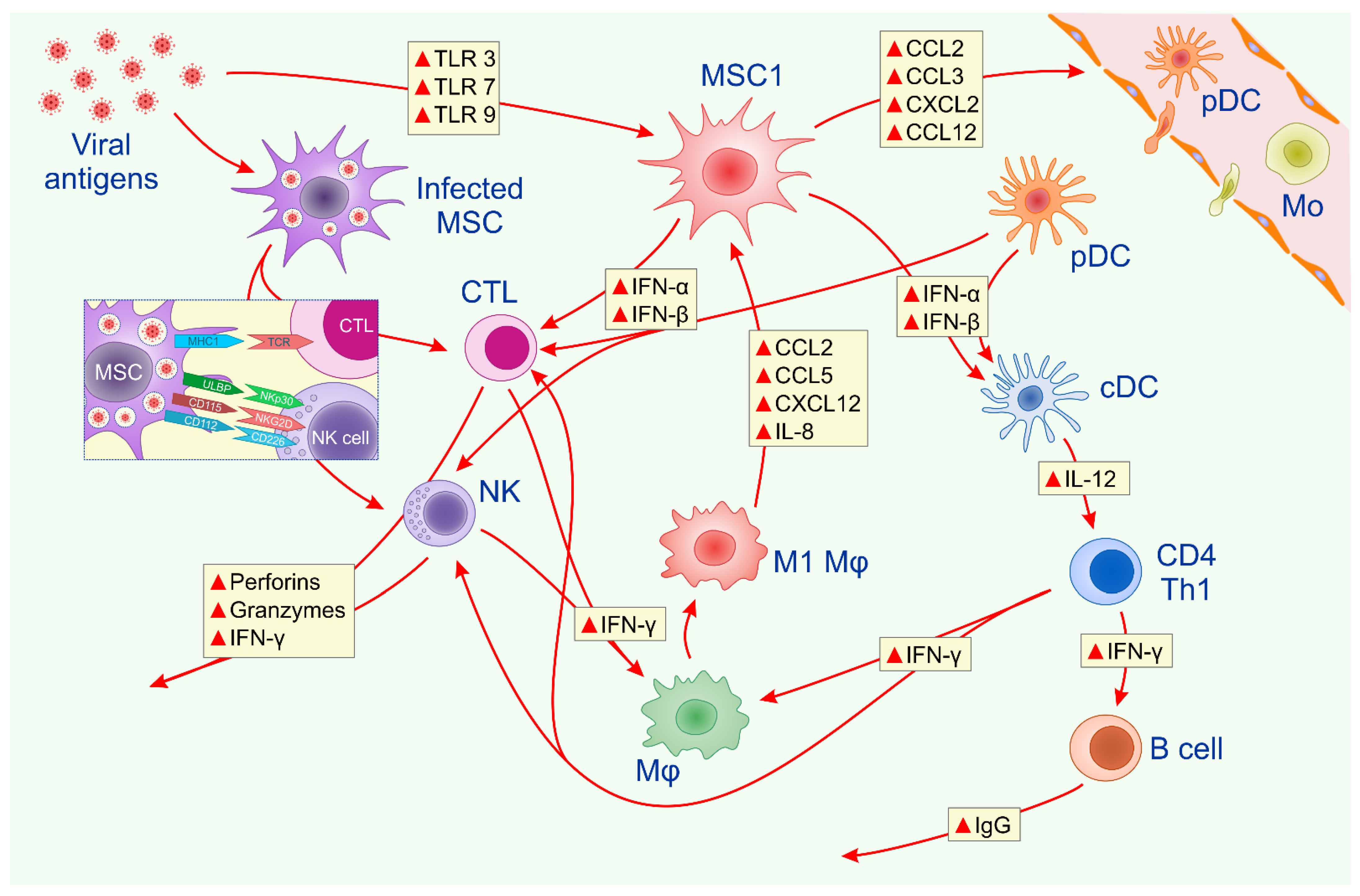 Pathogens 10 00409 g001 Pathogens 10 00409 g001