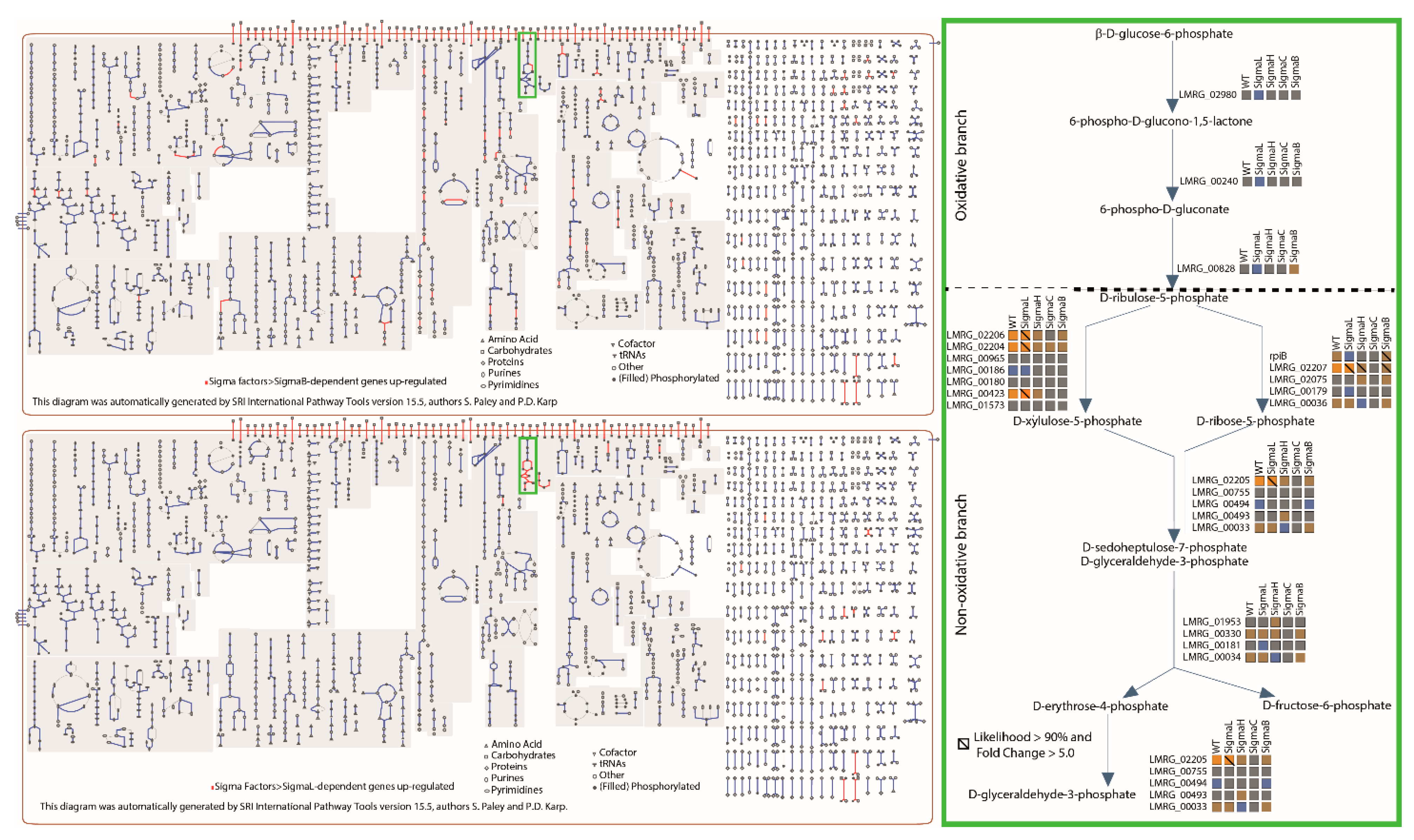 Pathogens 10 00411 g006 Pathogens 10 00411 g006