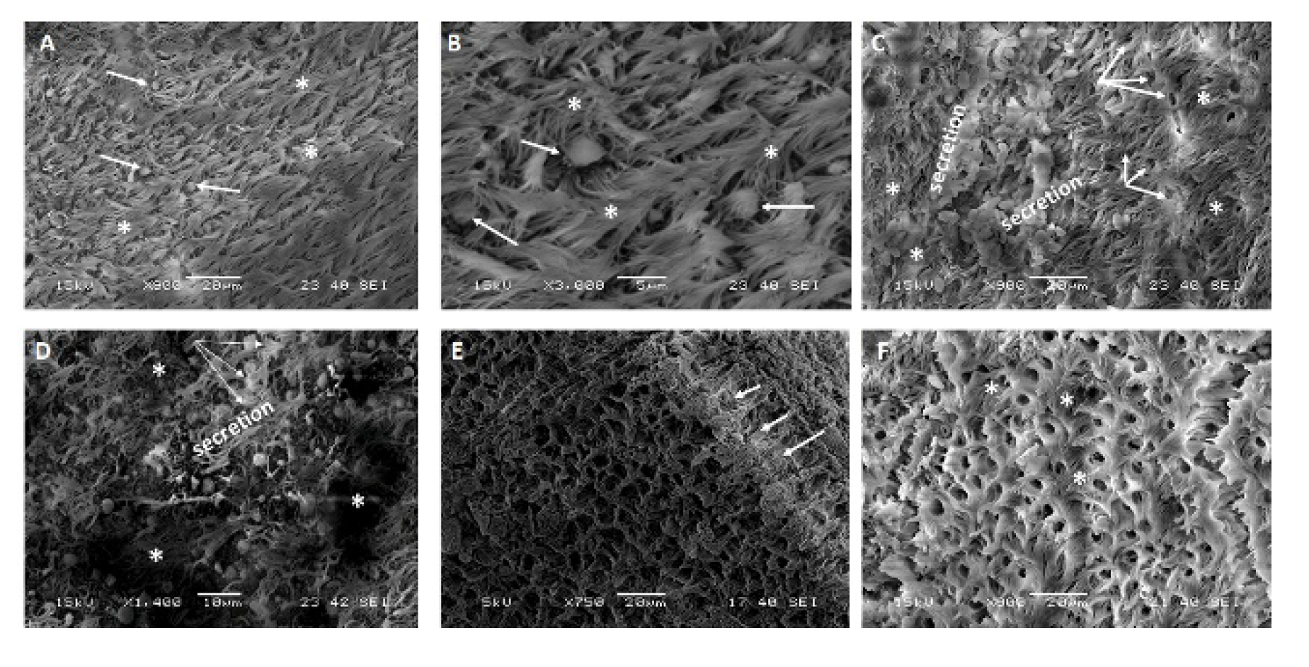 Pathogens 10 00420 g003 Pathogens 10 00420 g003