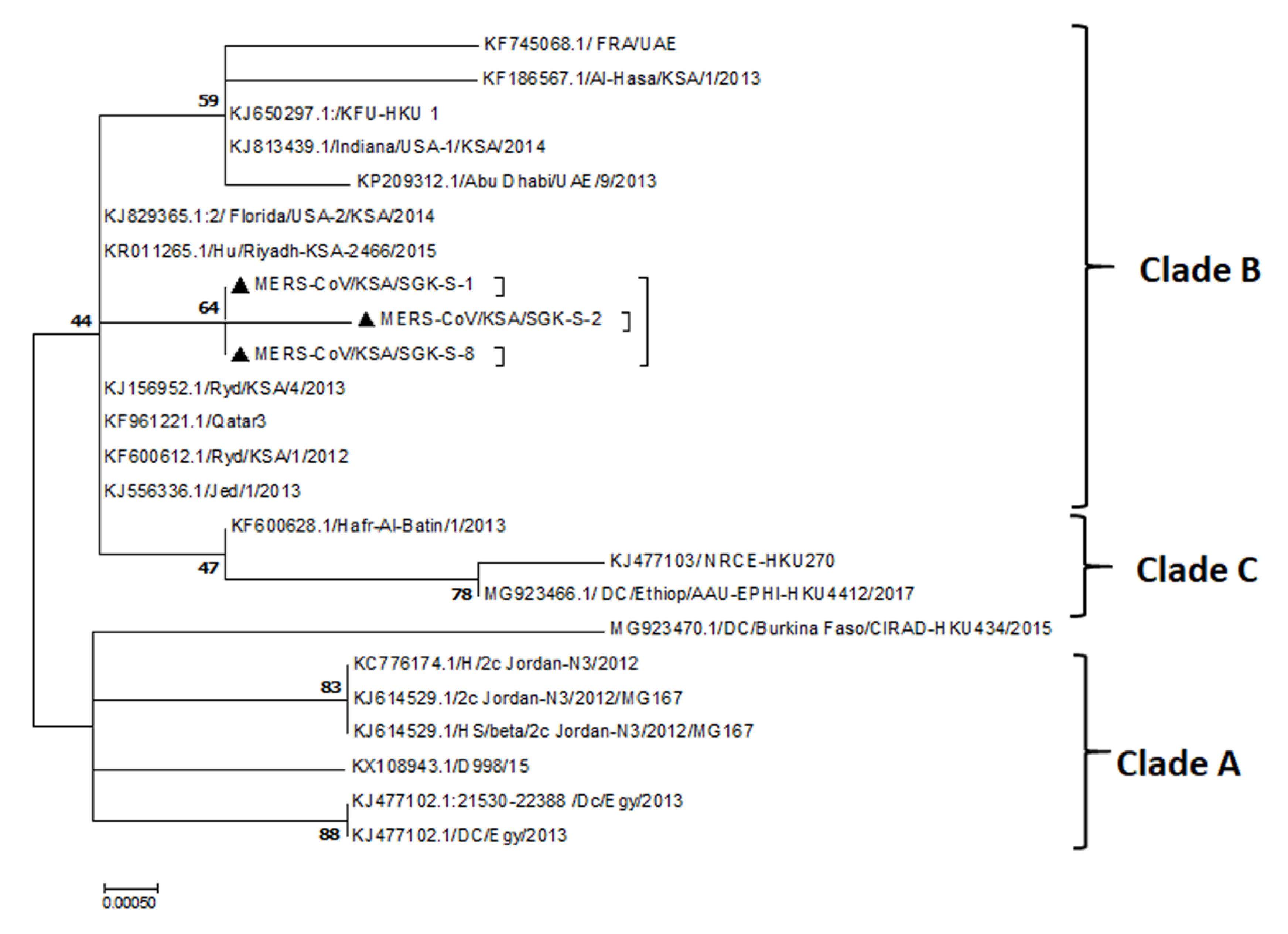 Pathogens 10 00420 g005 Pathogens 10 00420 g005