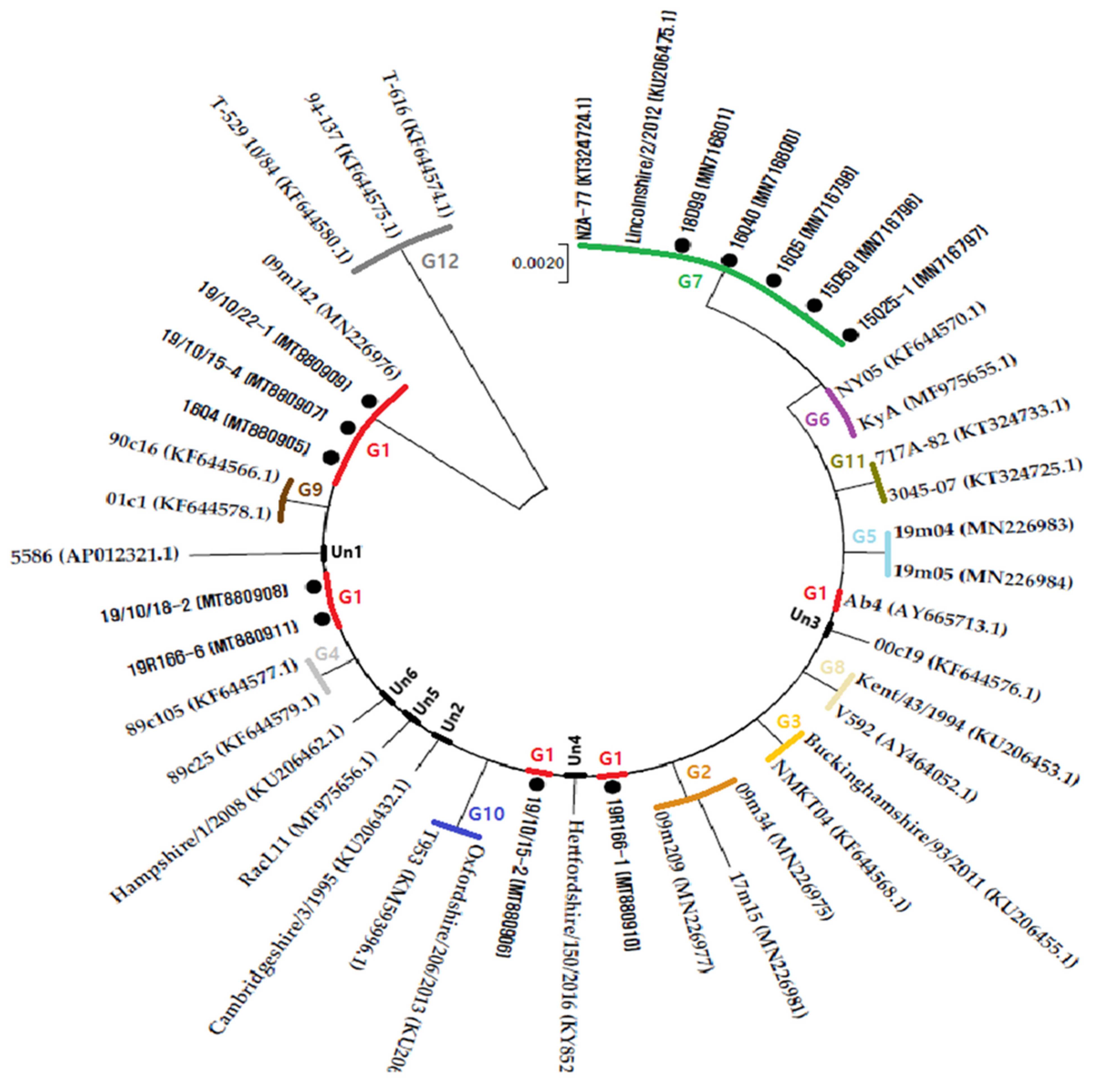 Pathogens 10 00425 g001