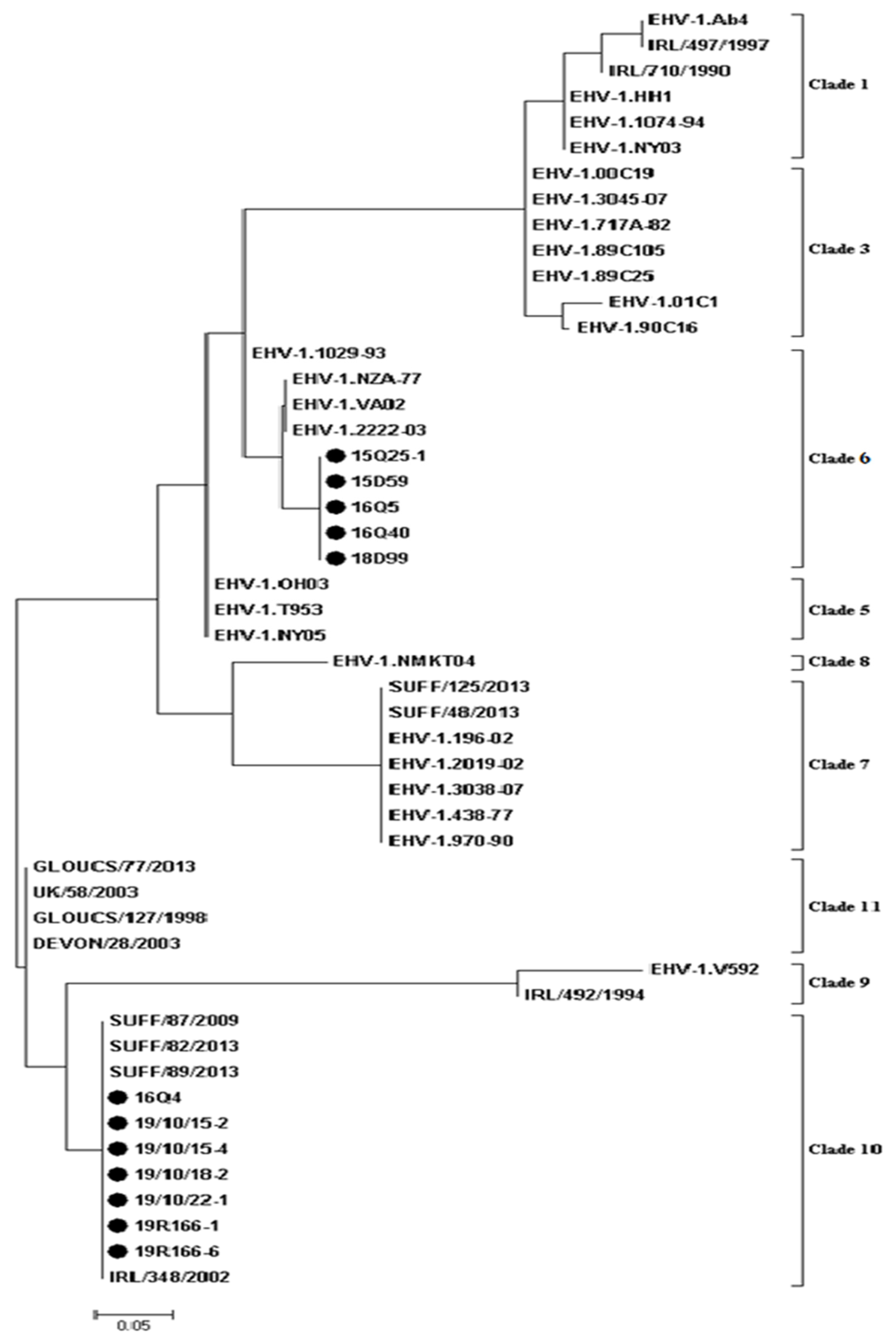 Pathogens 10 00425 g003