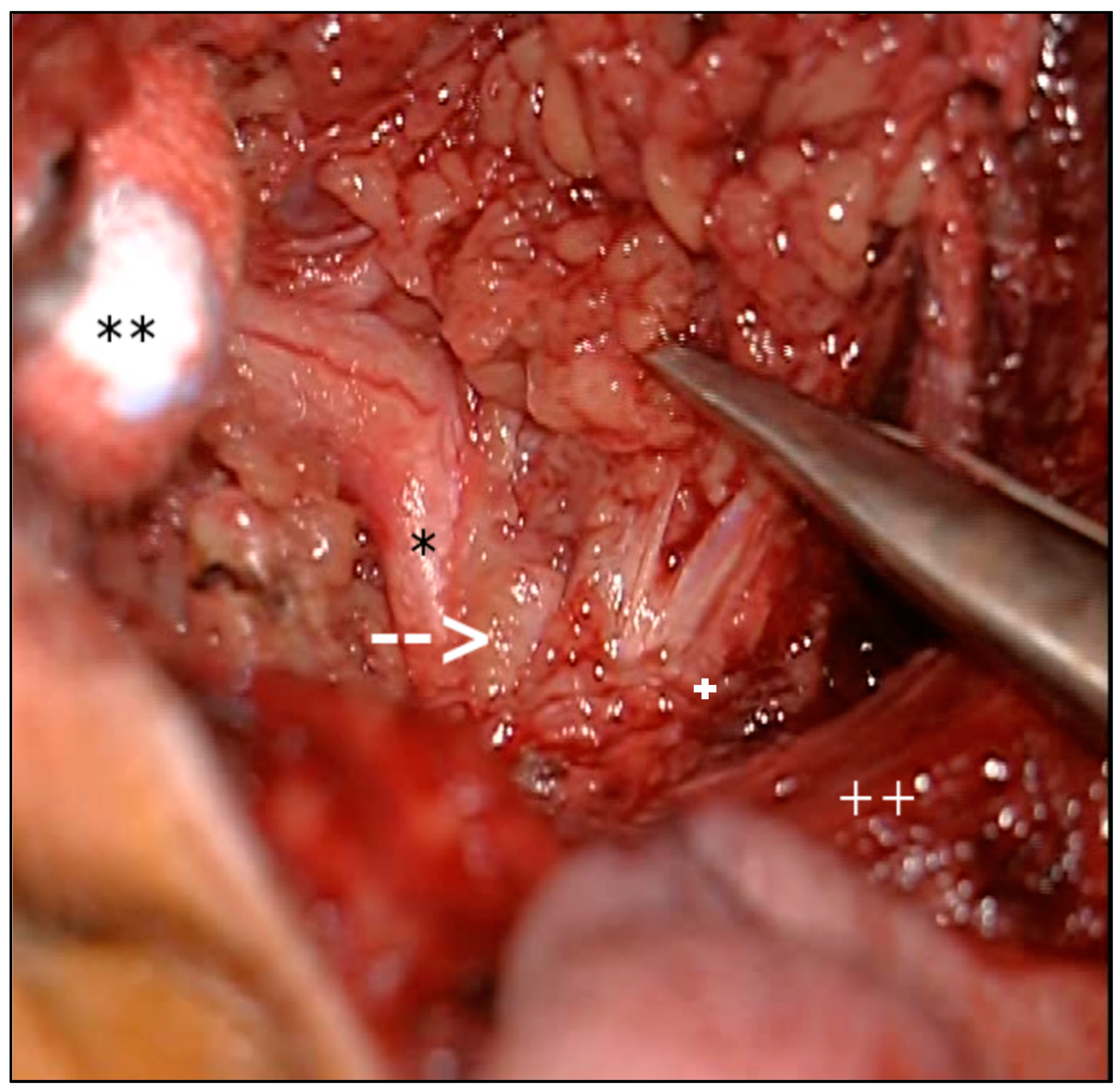 Pathogens 10 00426 g002 Pathogens 10 00426 g002