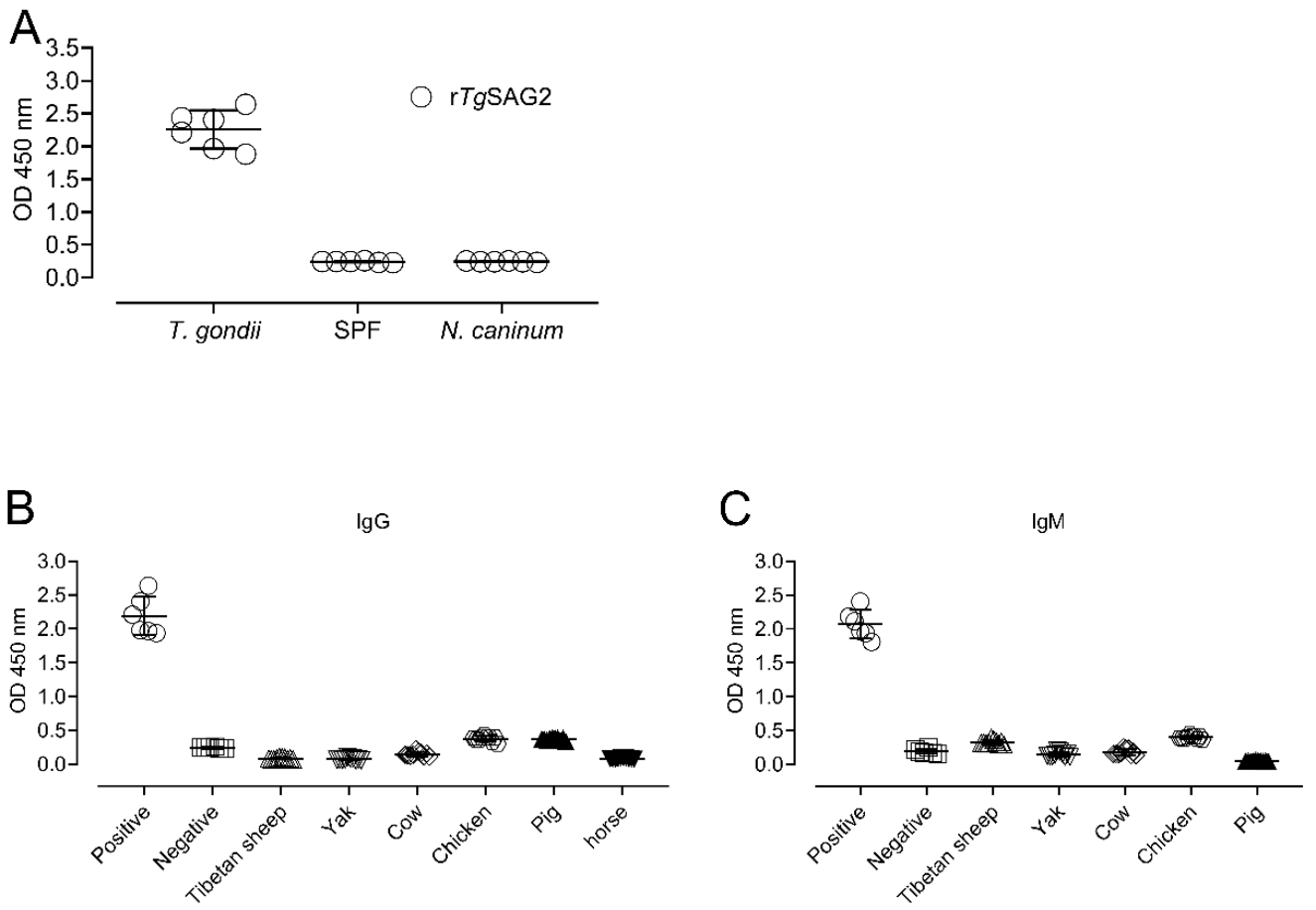 Pathogens 10 00432 g002