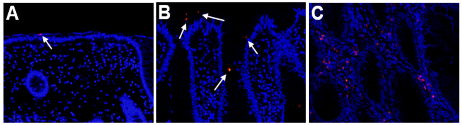 Pathogens 10 00434 g001 Pathogens 10 00434 g001