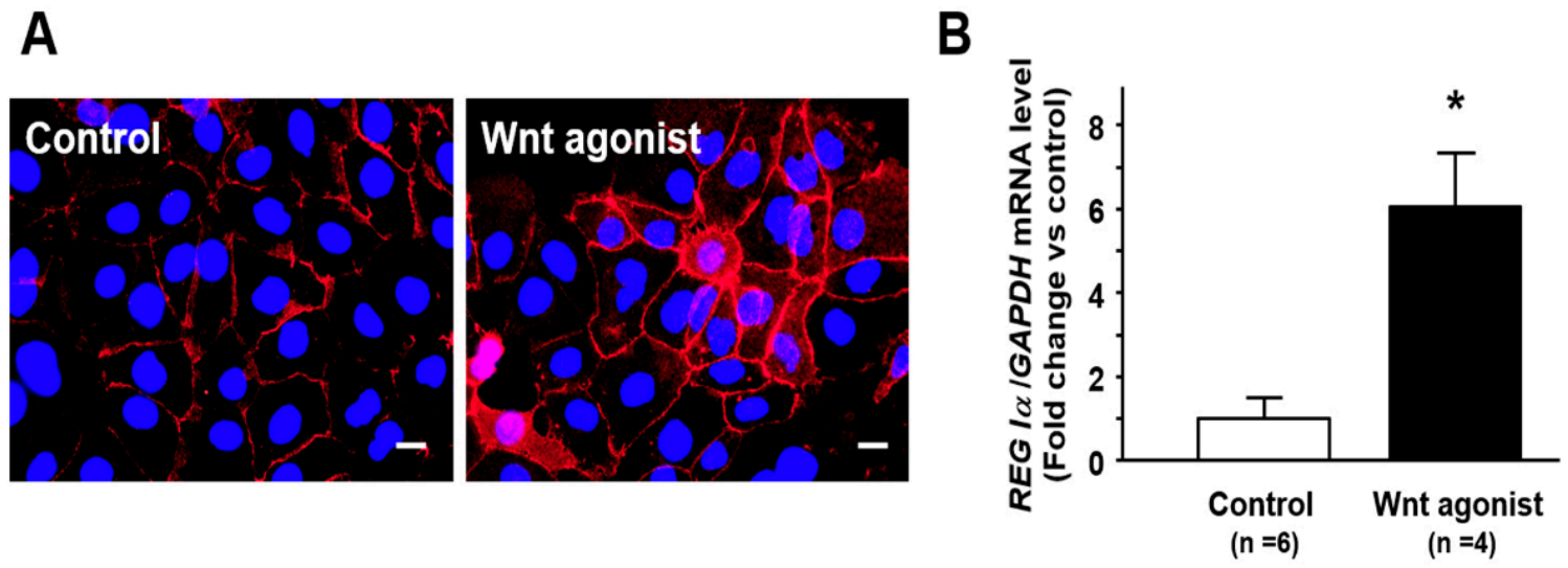 Pathogens 10 00434 g004 Pathogens 10 00434 g004