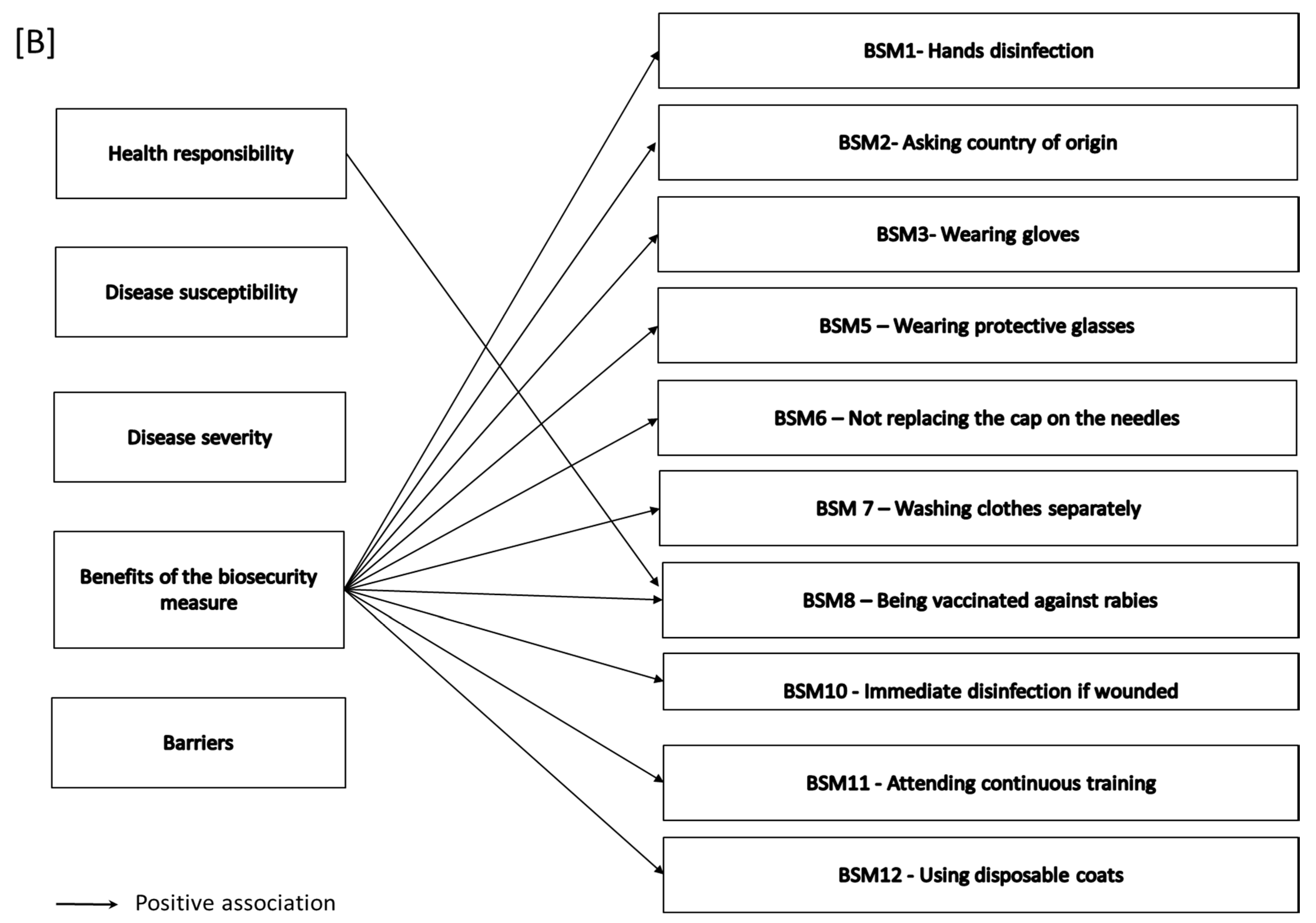 Pathogens 10 00436 g005b