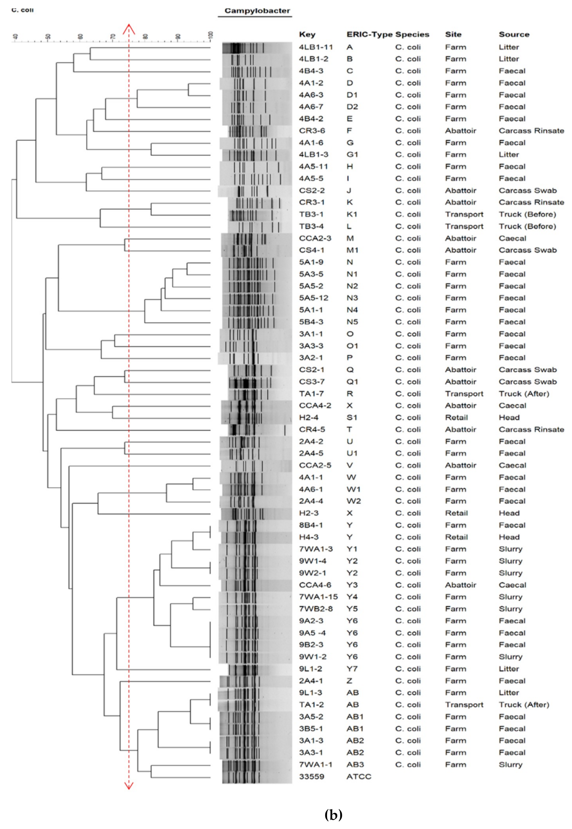 Pathogens 10 00439 g003b Pathogens 10 00439 g003b