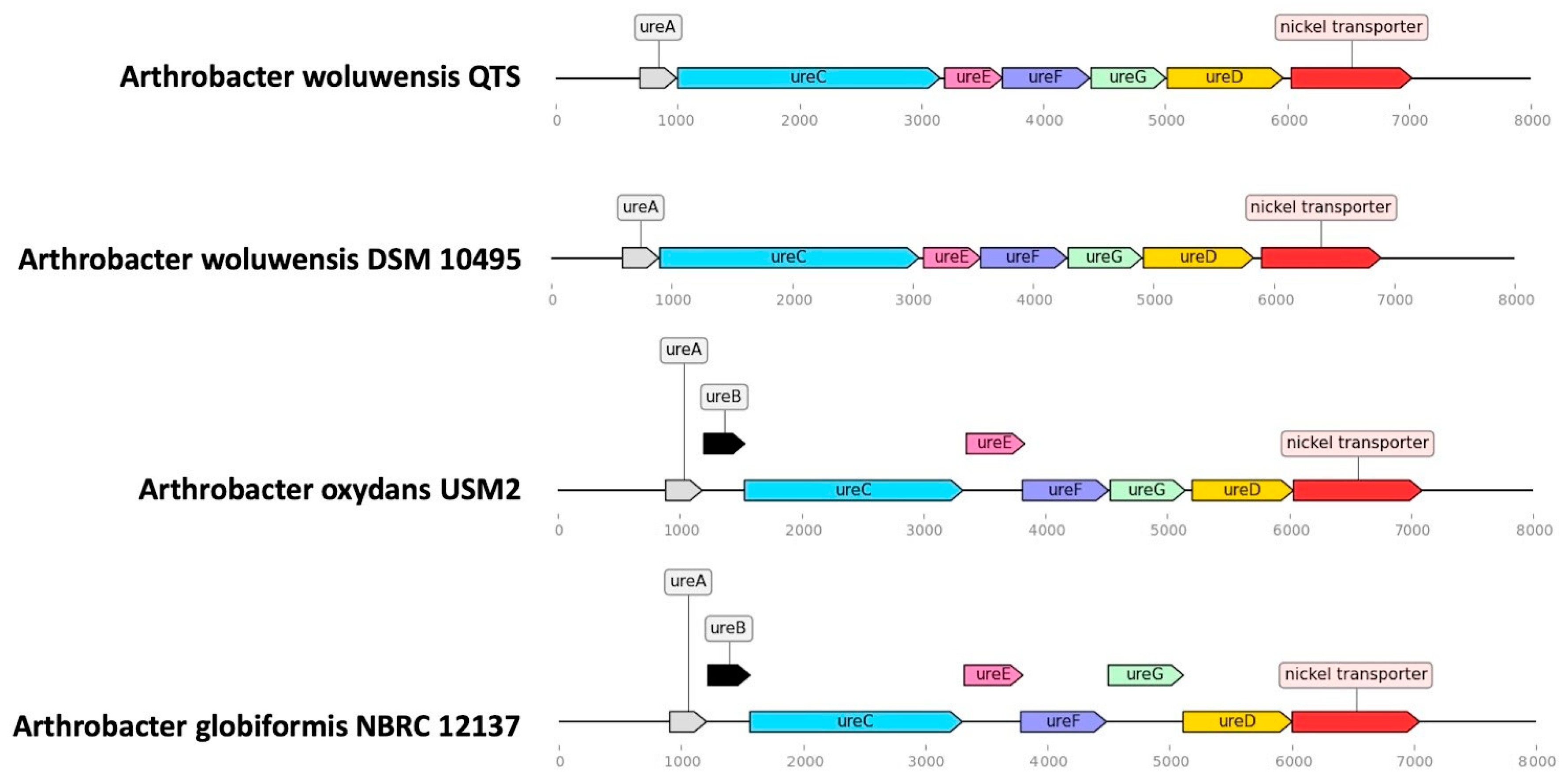 Pathogens 10 00443 g004 Pathogens 10 00443 g004