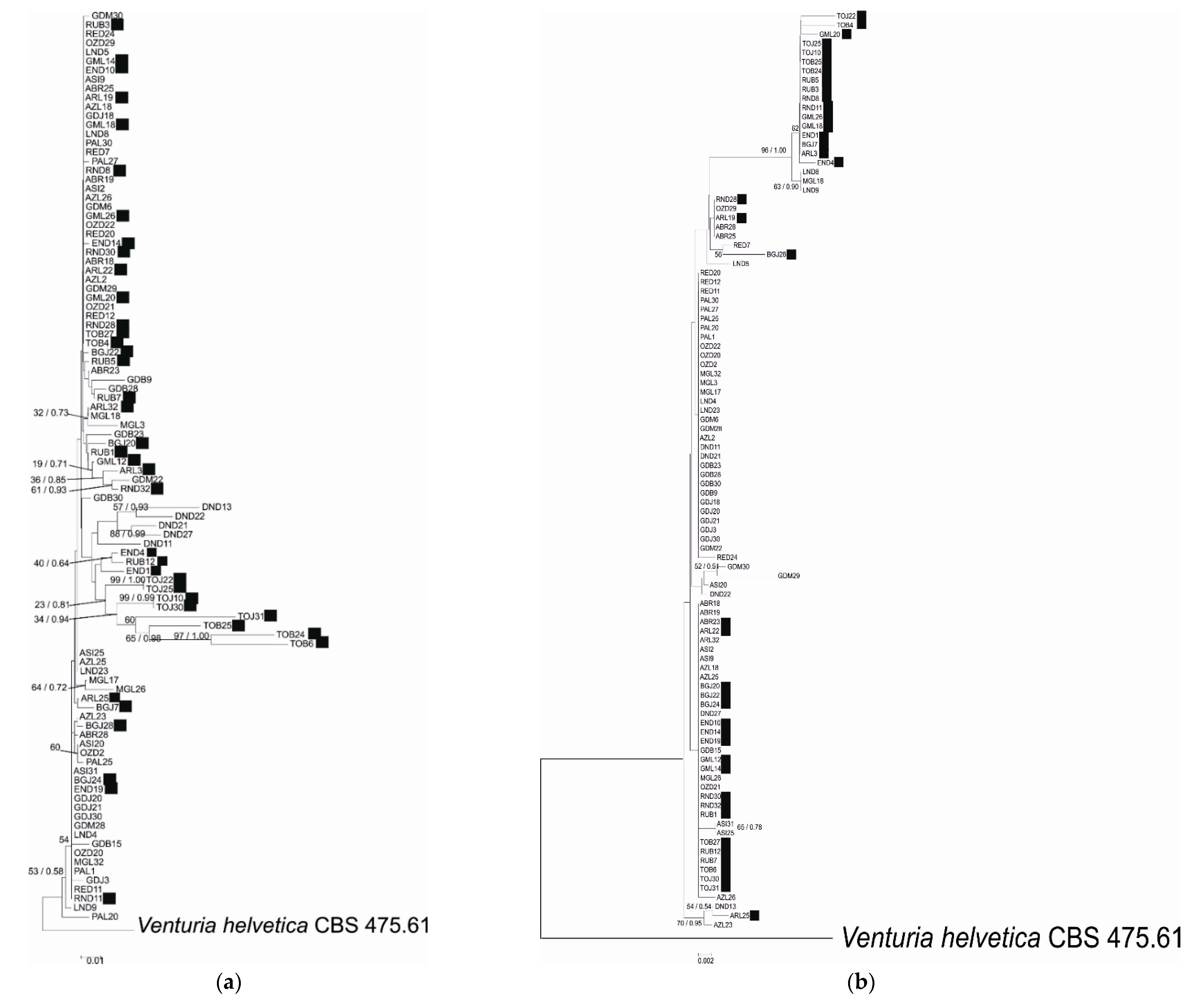Pathogens 10 00447 g001a Pathogens 10 00447 g001a