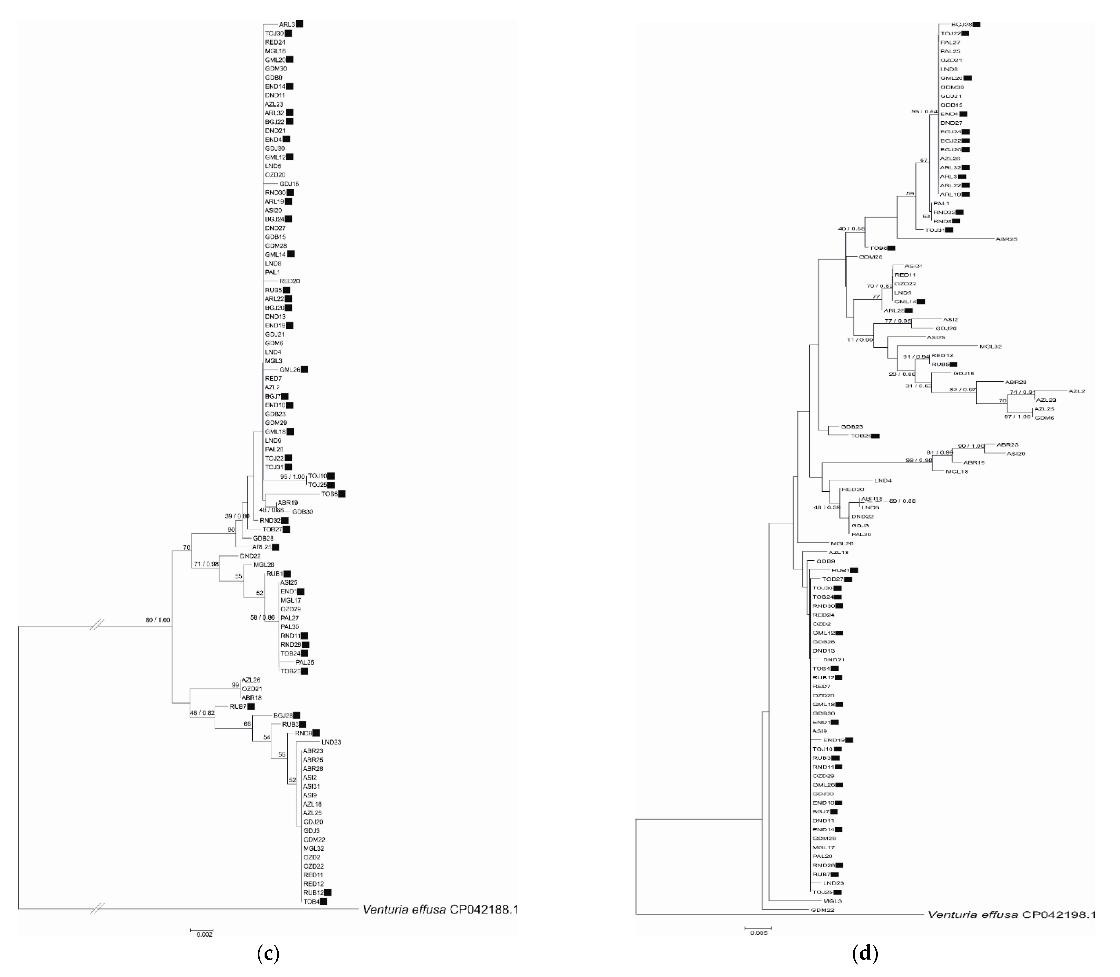 Pathogens 10 00447 g001b Pathogens 10 00447 g001b