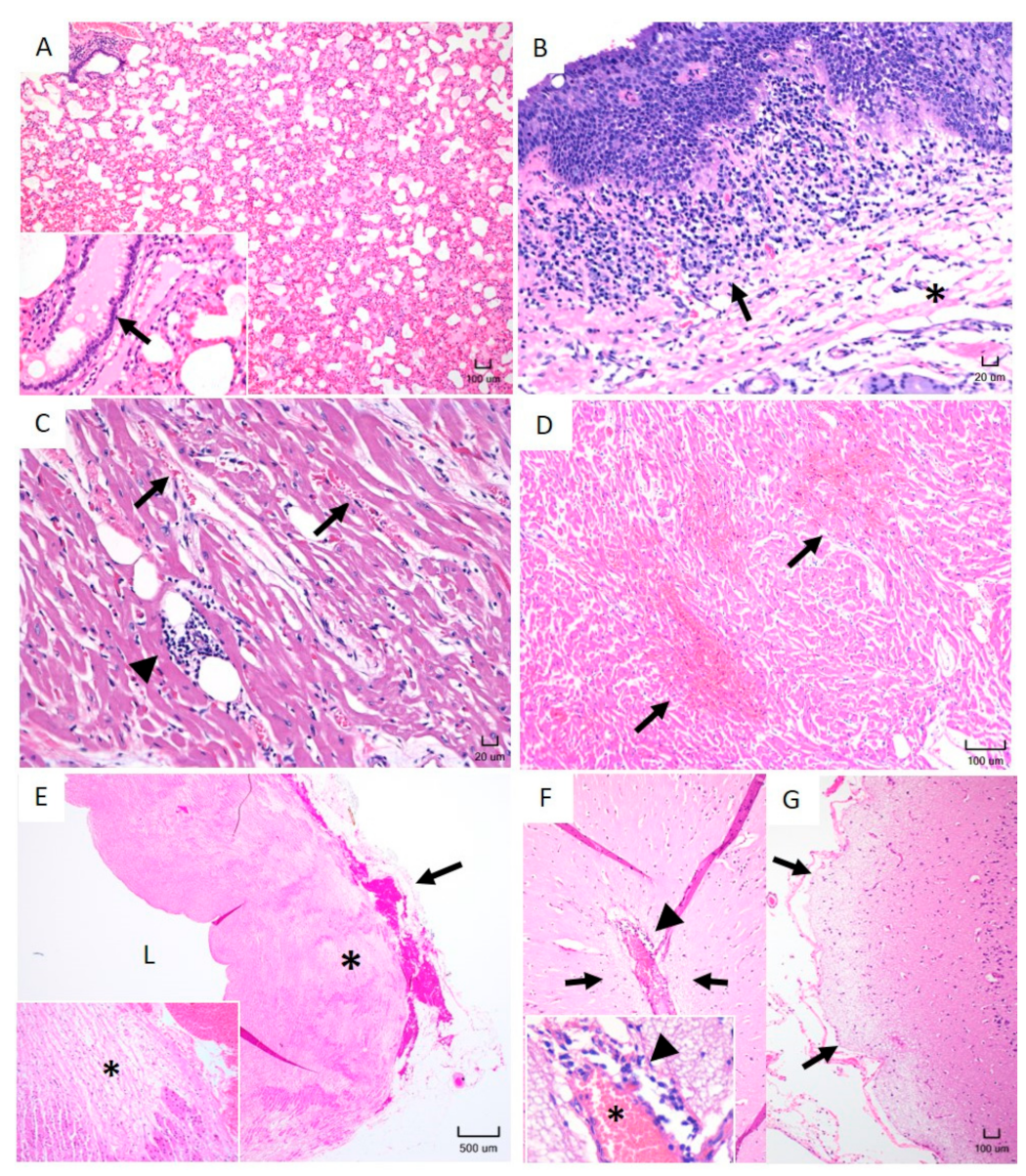 Pathogens 10 00451 g002
