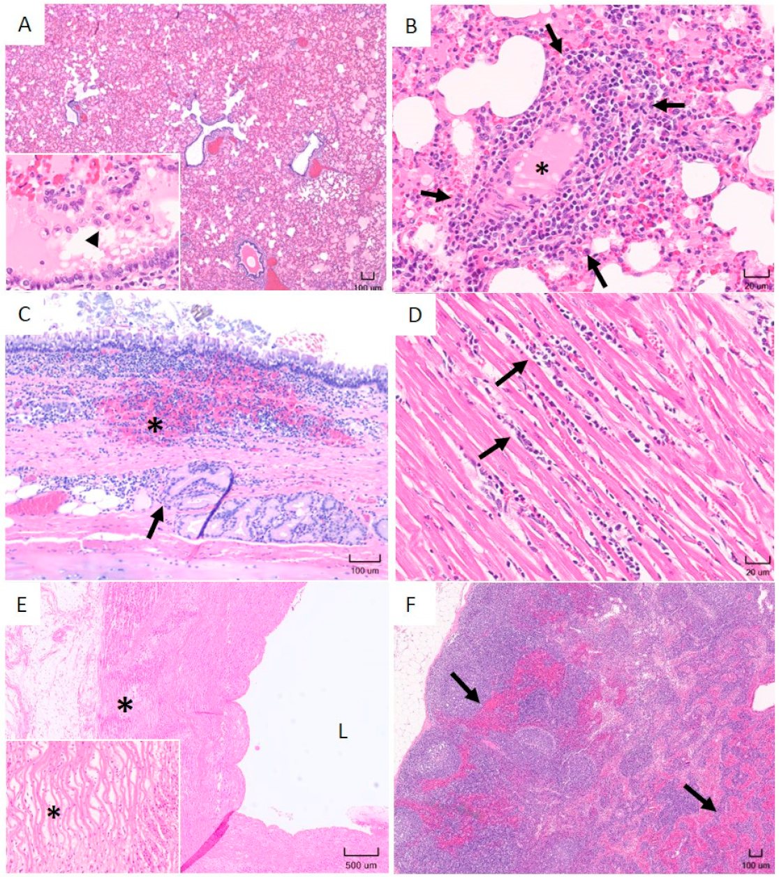 Pathogens 10 00451 g005