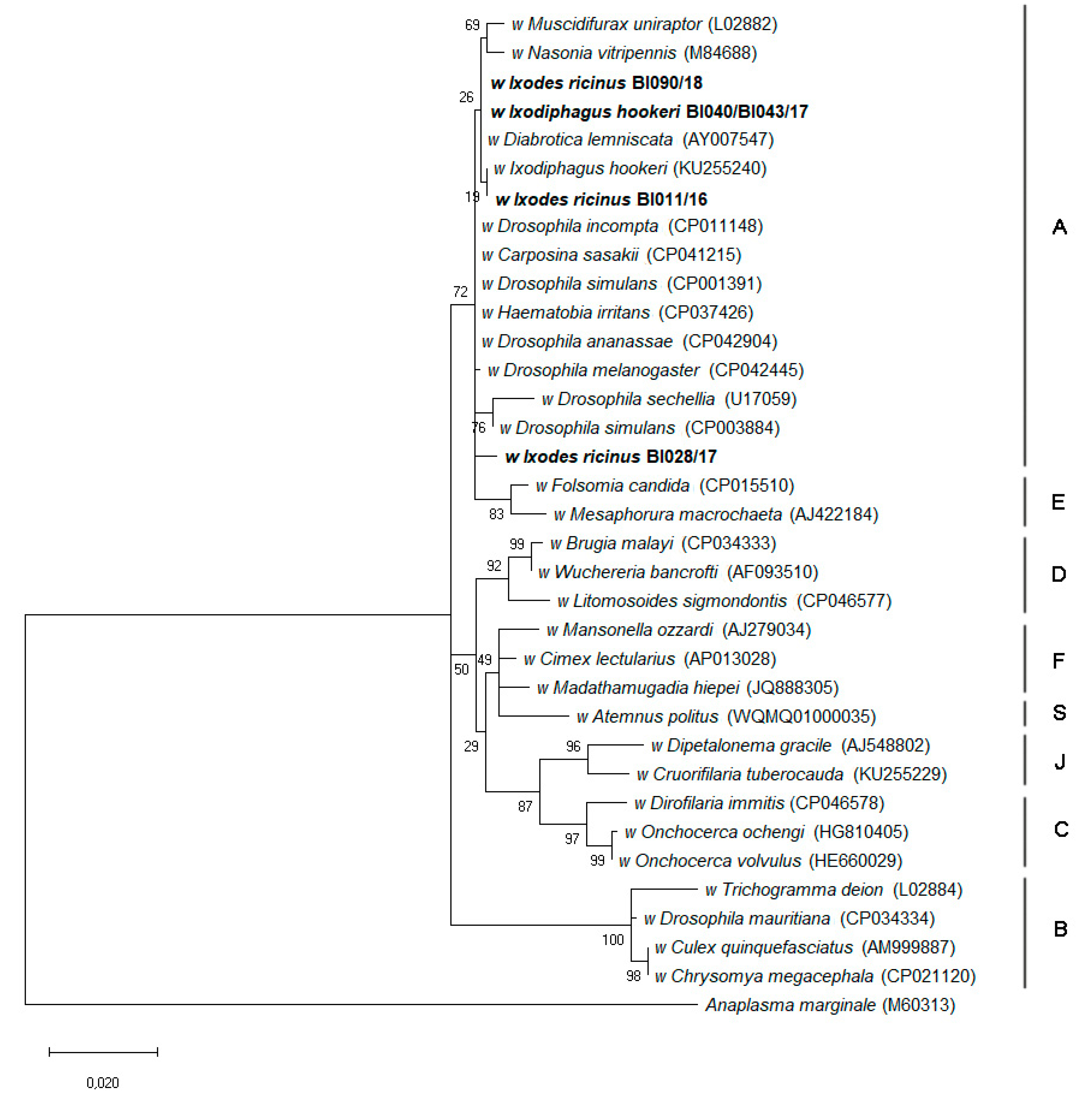 Pathogens 10 00458 g002 Pathogens 10 00458 g002